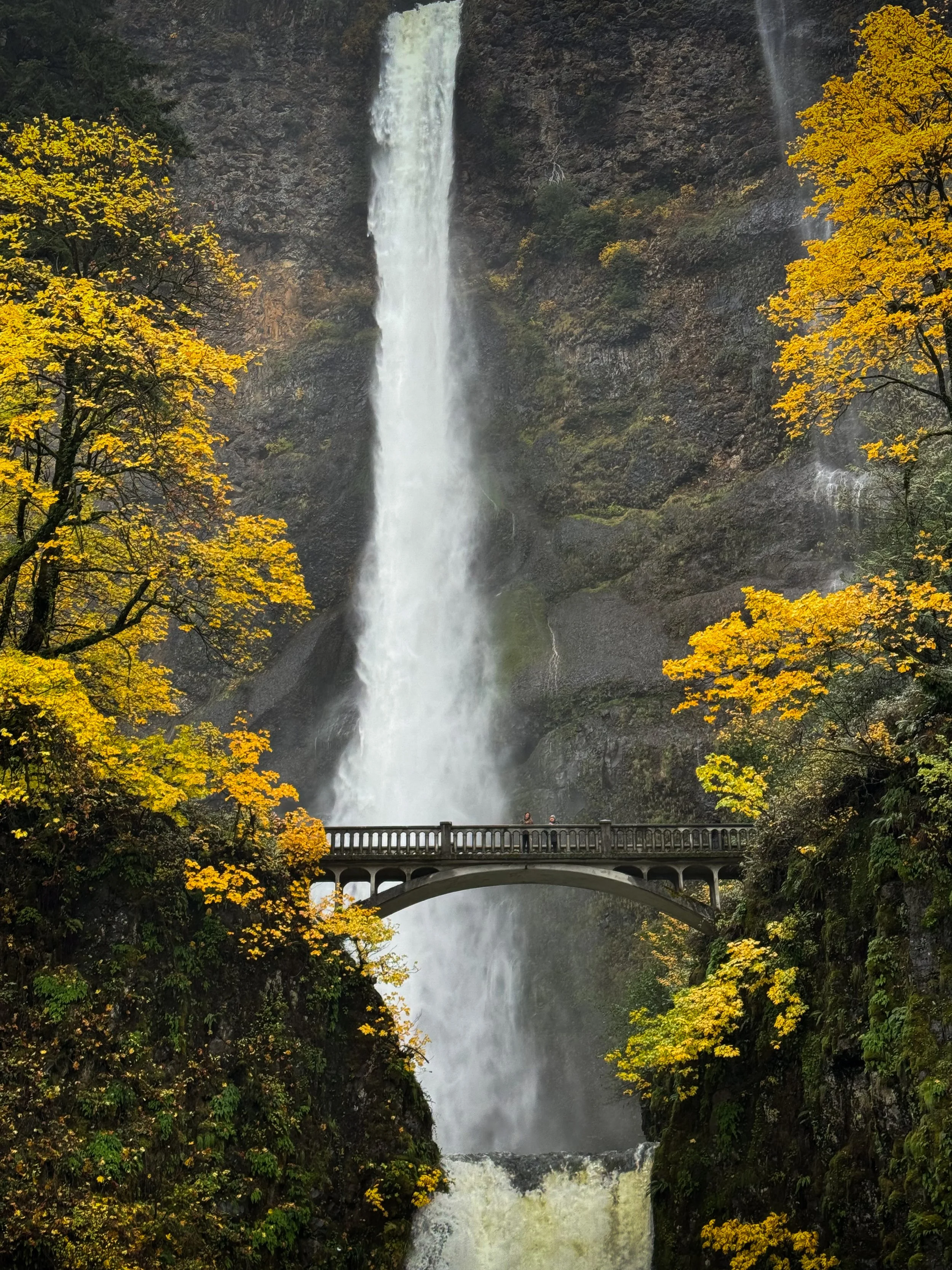  Multnomah Falls in fall 