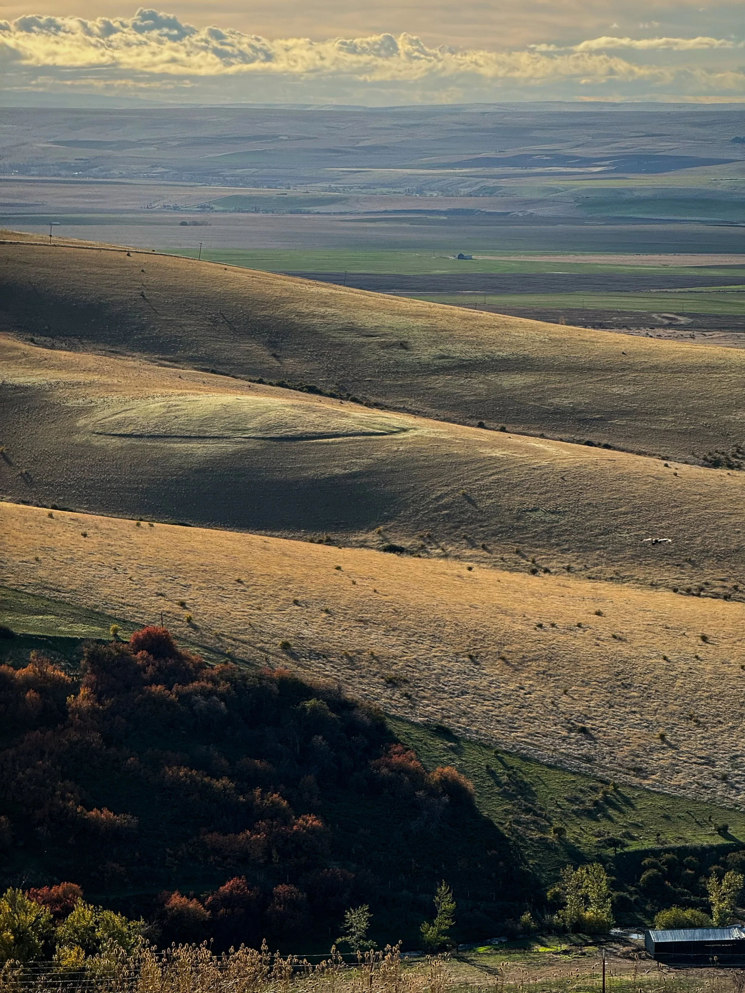  Eastern Oregon Hills 