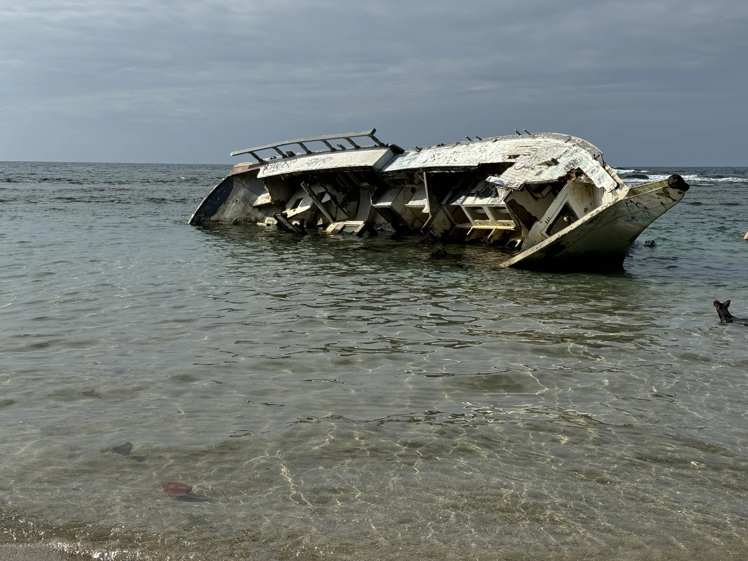  Shipwreck in Puerto Viejo  