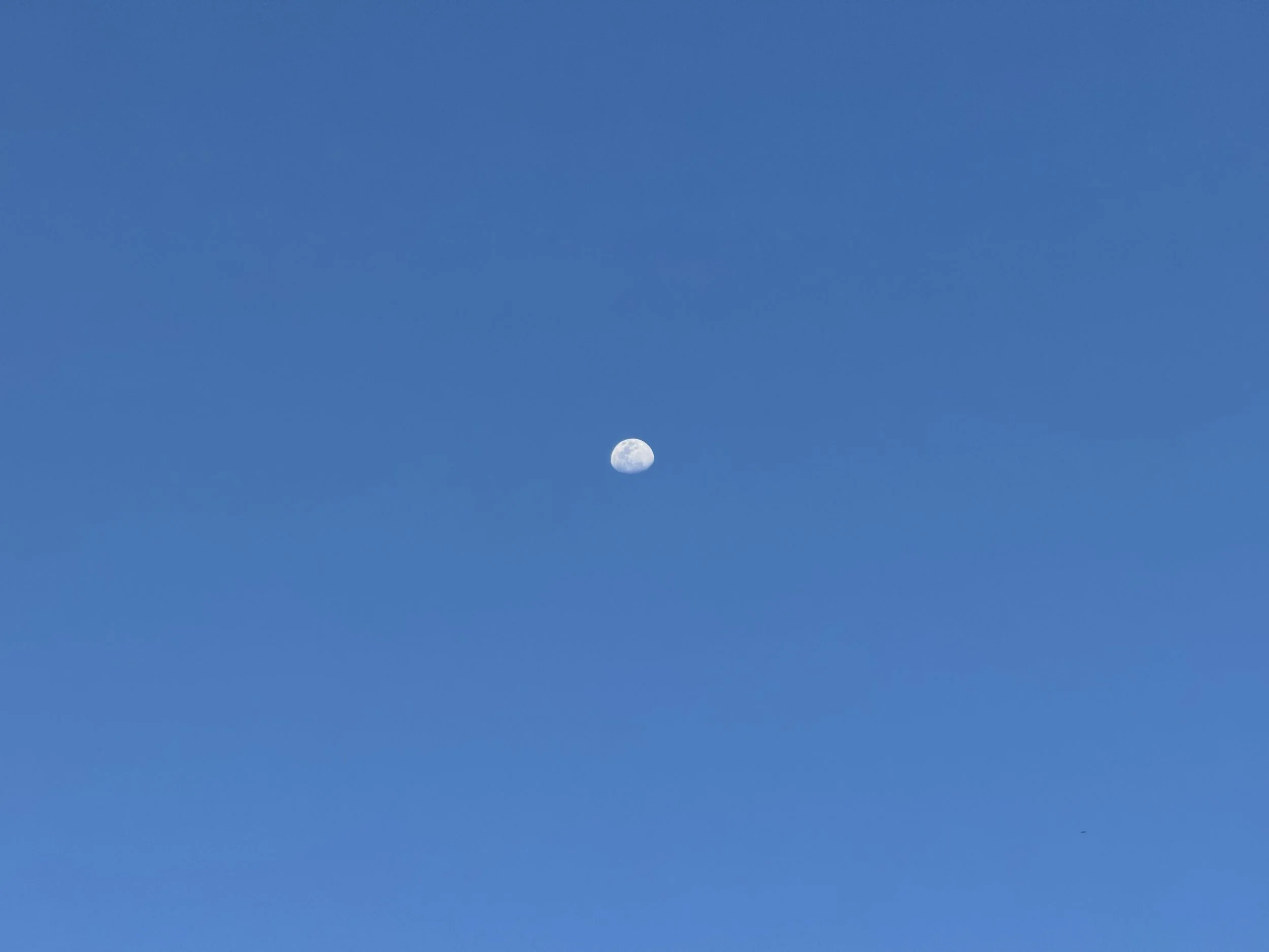  A daytime moon 