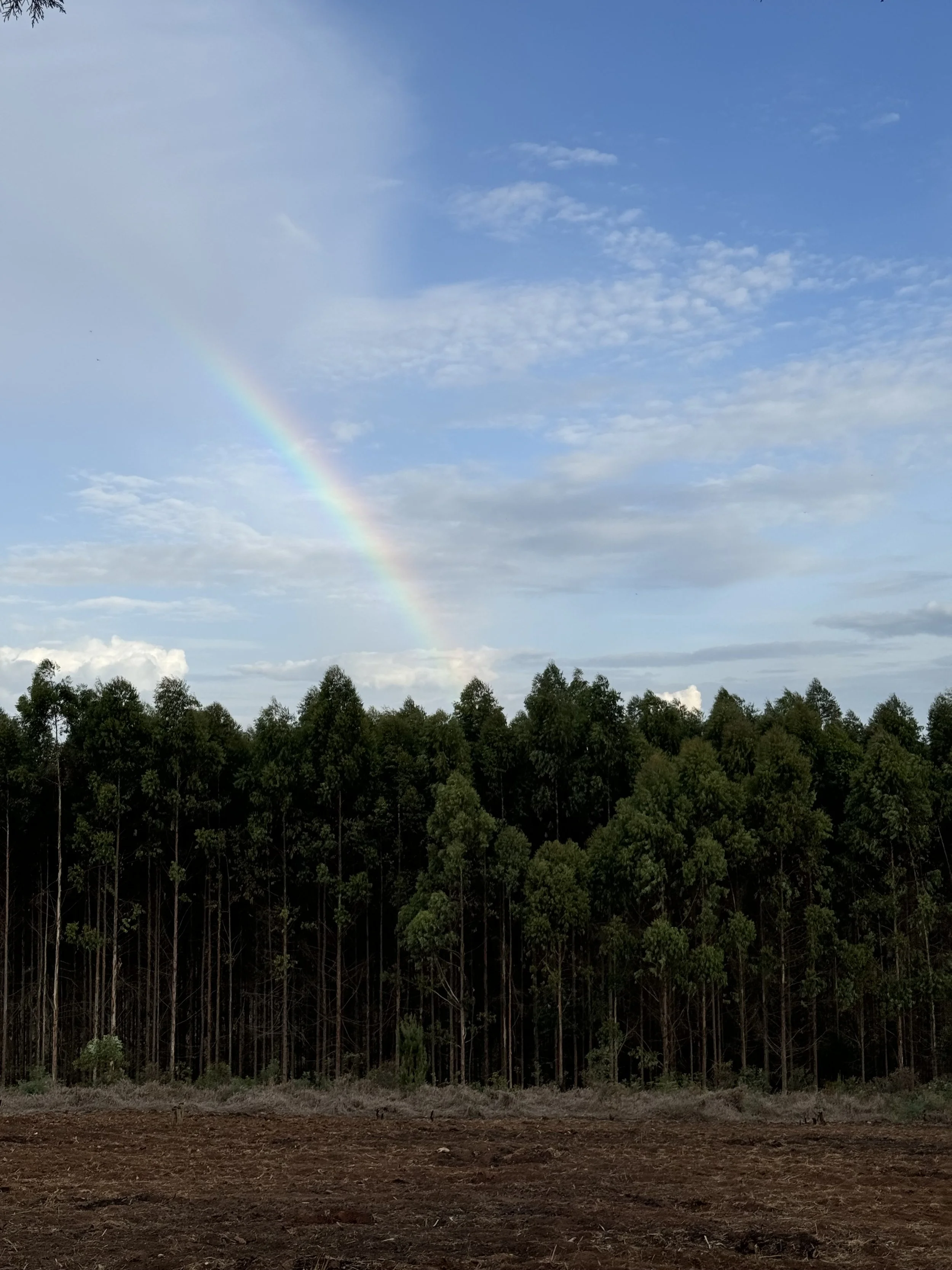  A rainbow 