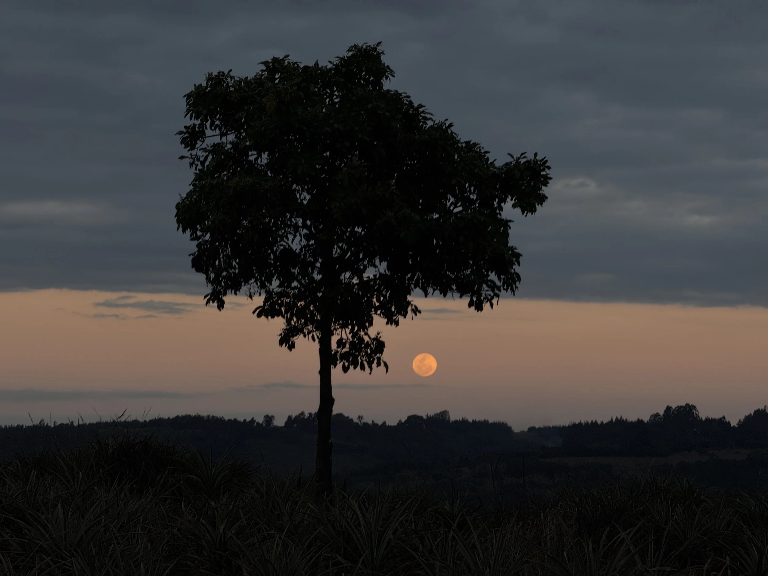 Moonrise over the highlands