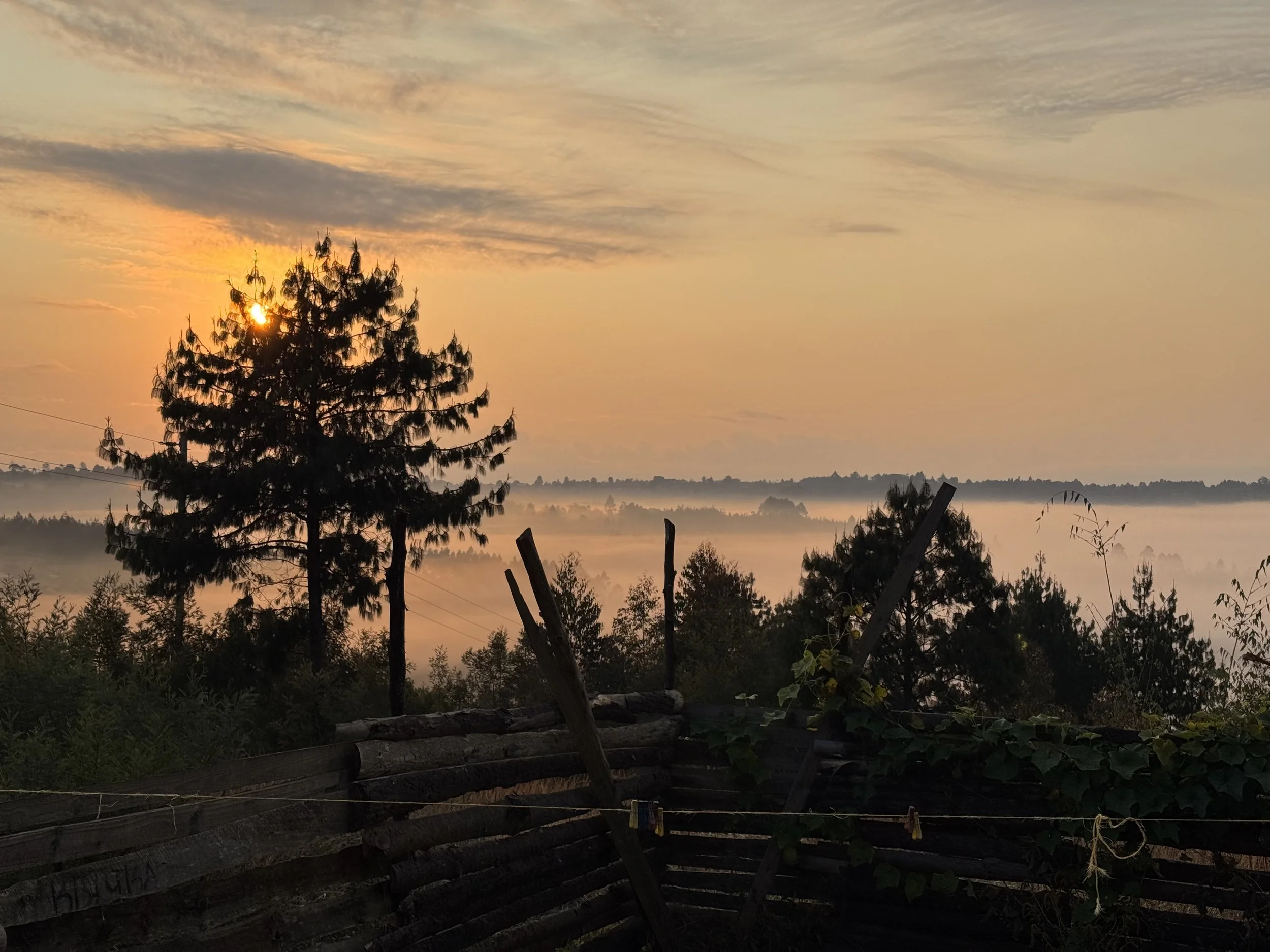  Sunrise viewed from my backyard 