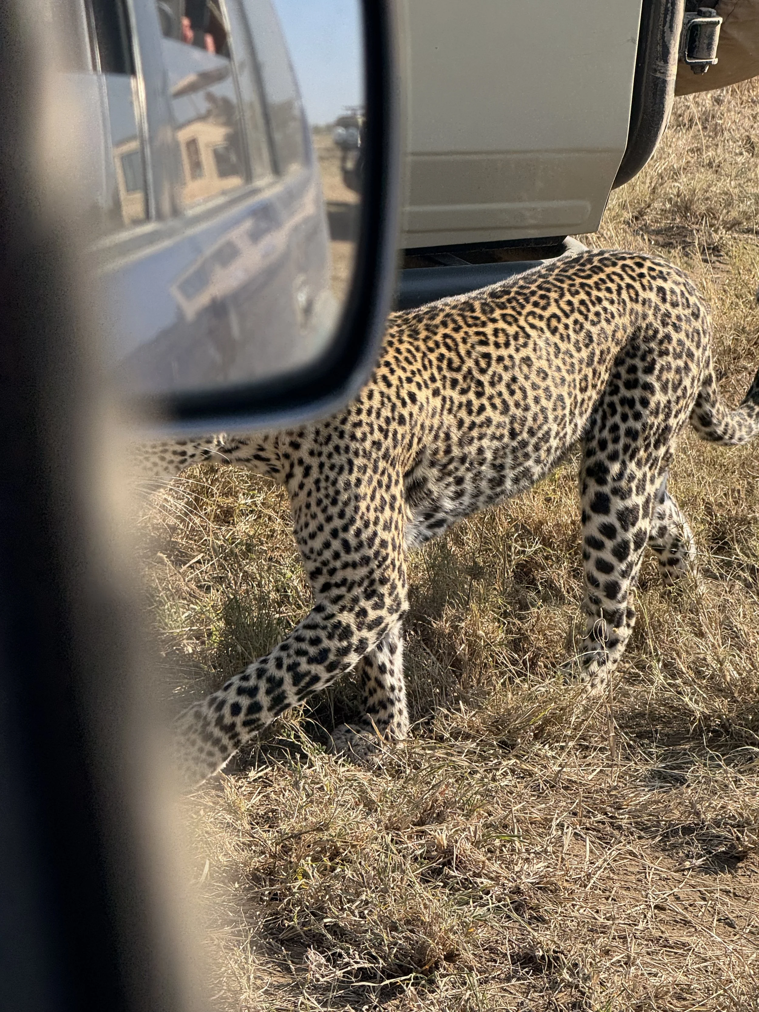  She went under our car 