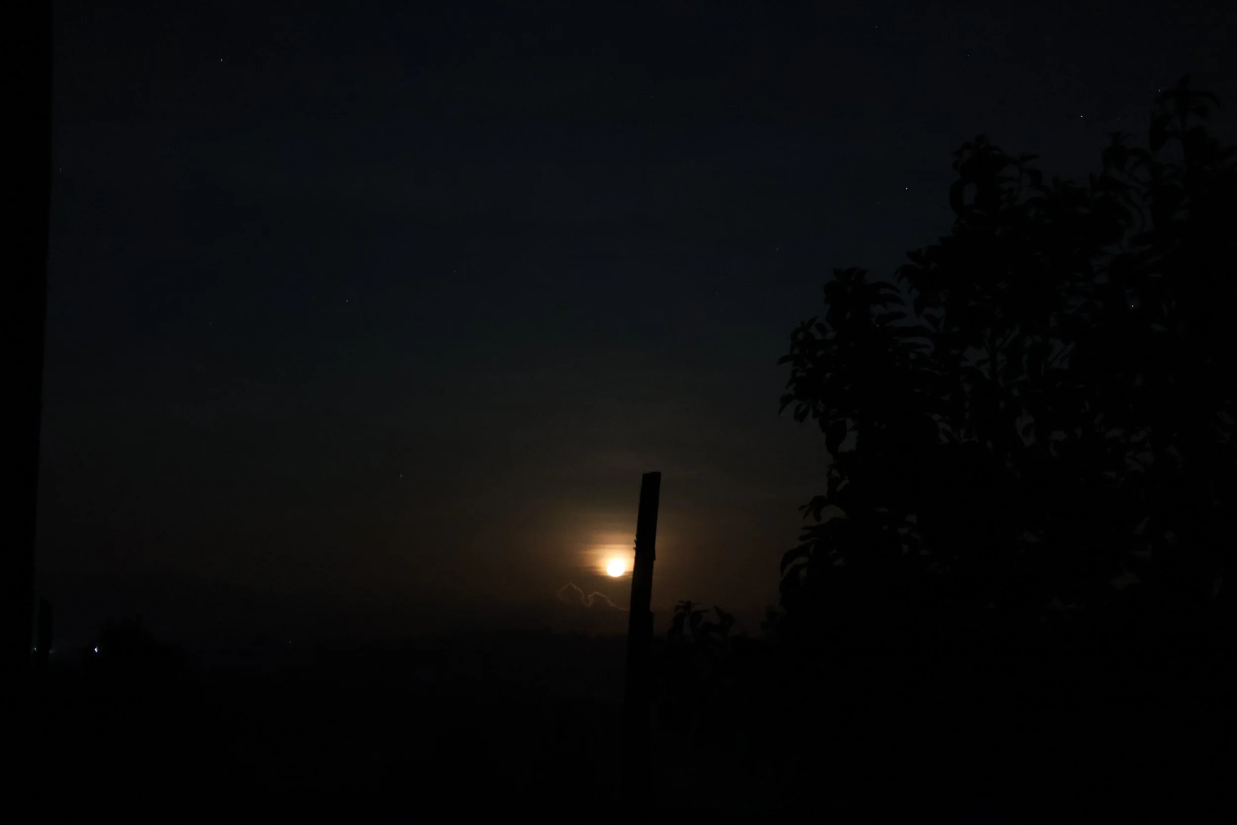 A rising moon 