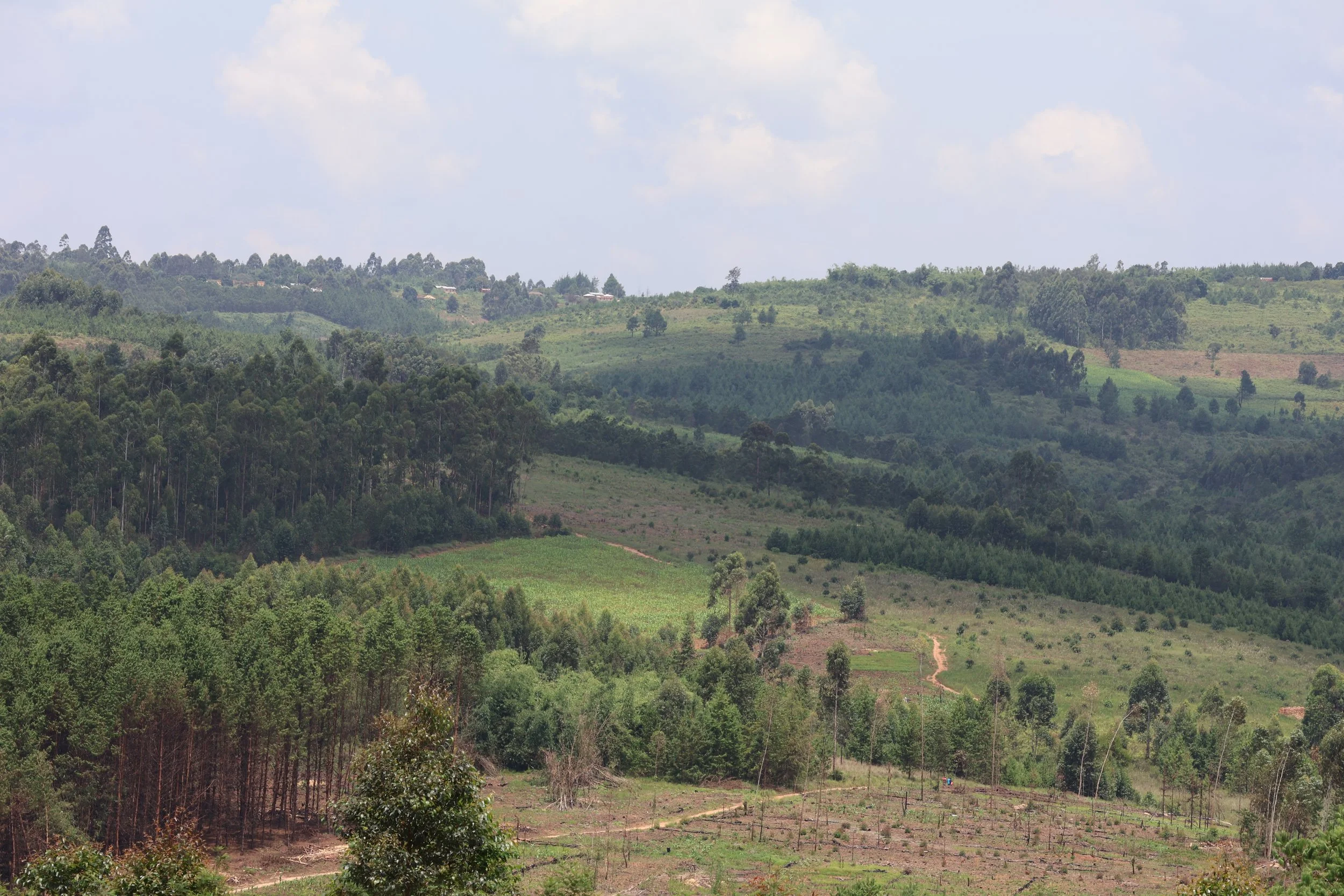  More southern highlands 