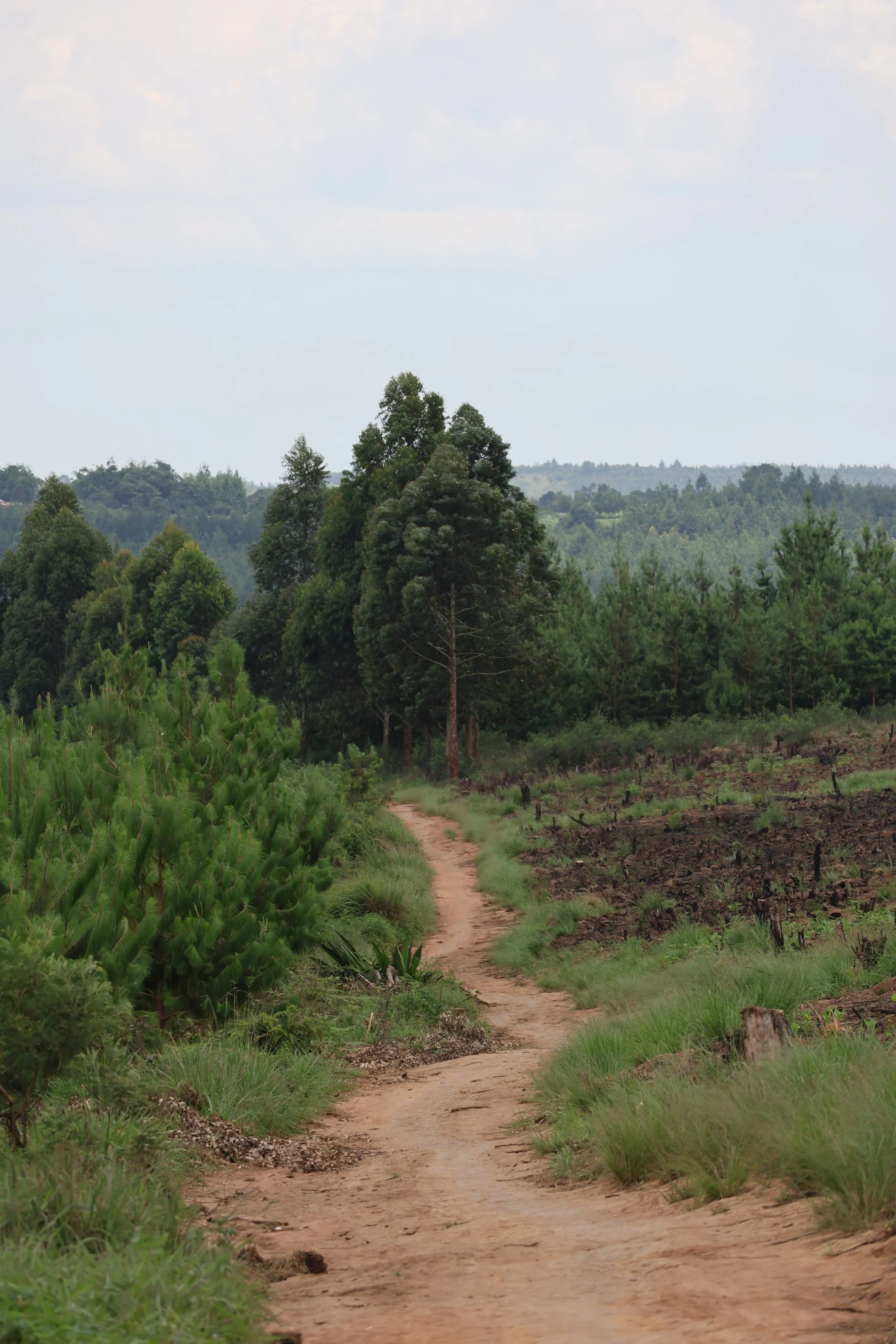  A meandering path 