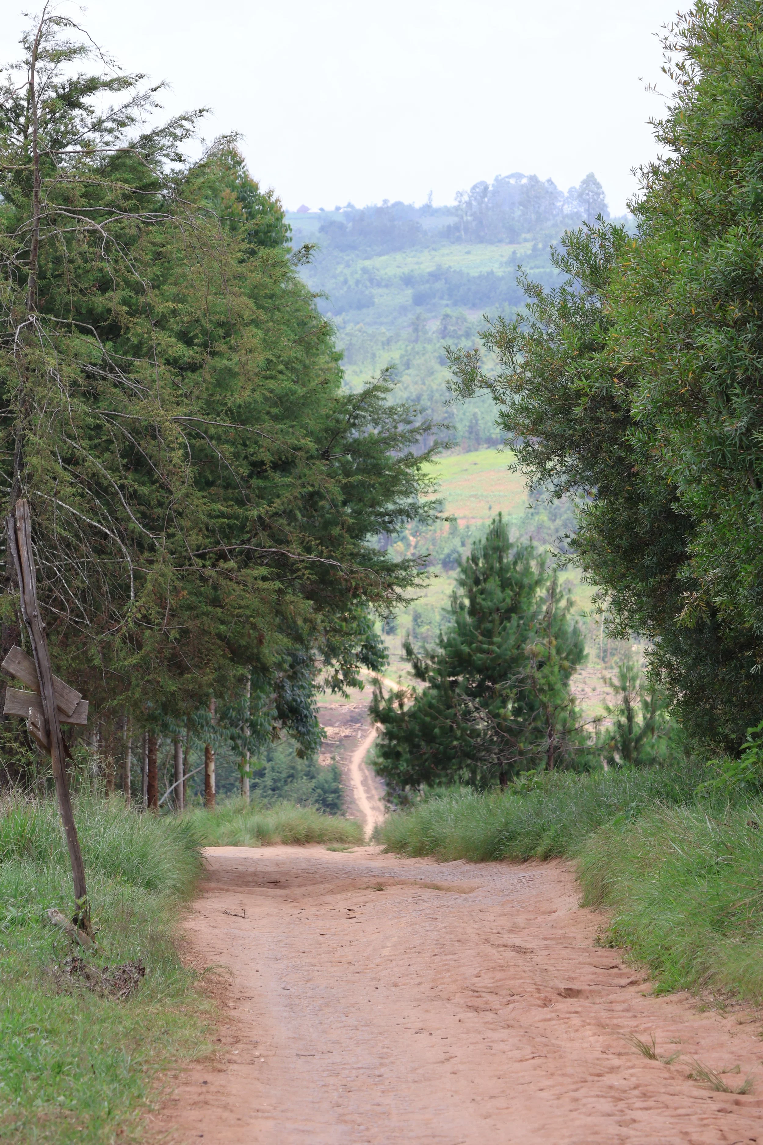  A downhill path 