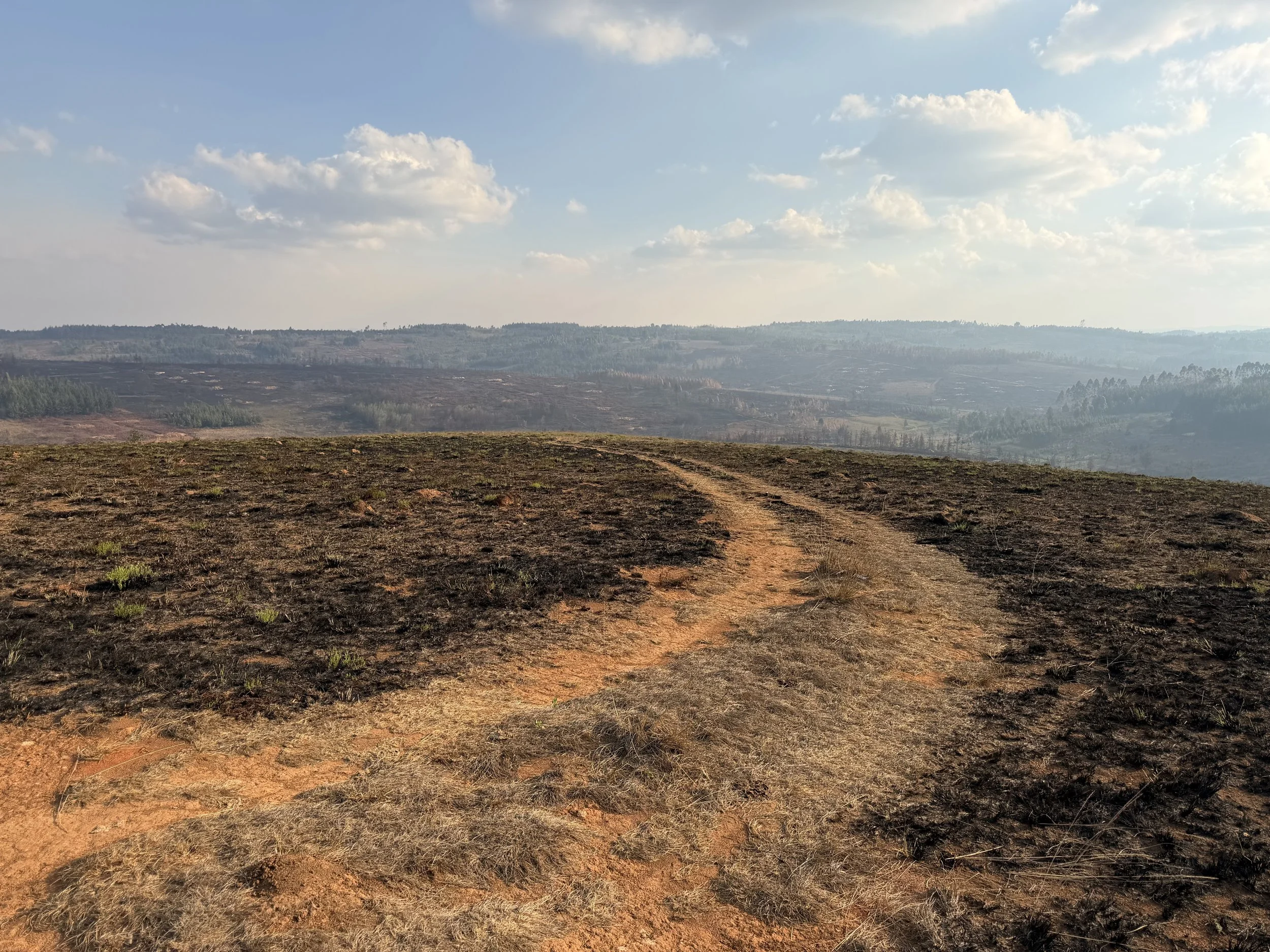  Village road on my running route 
