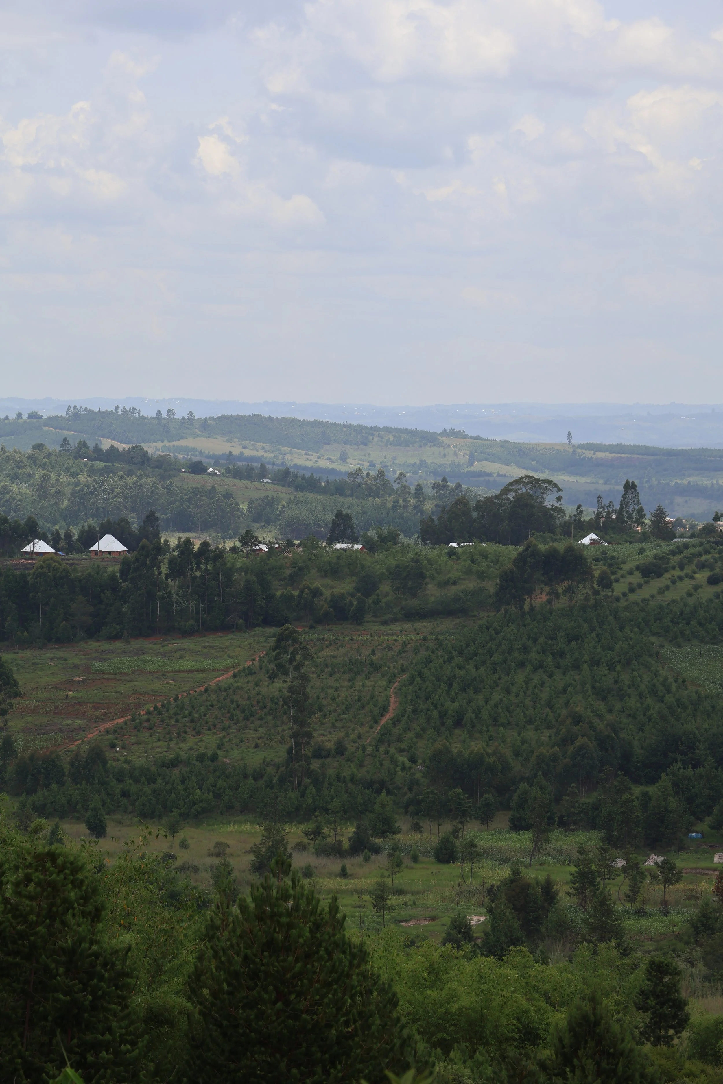  The southern highlands of Tanzania 