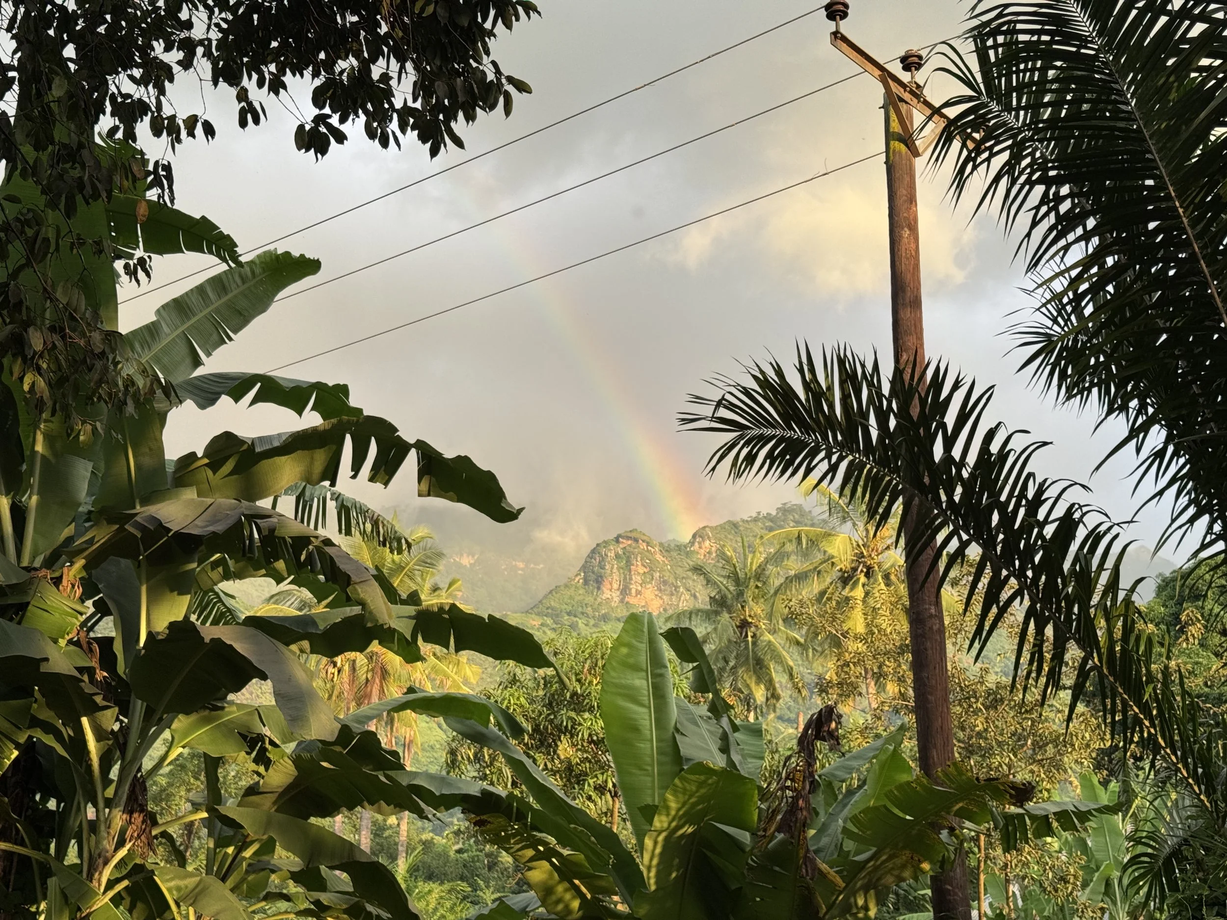 Rainbow