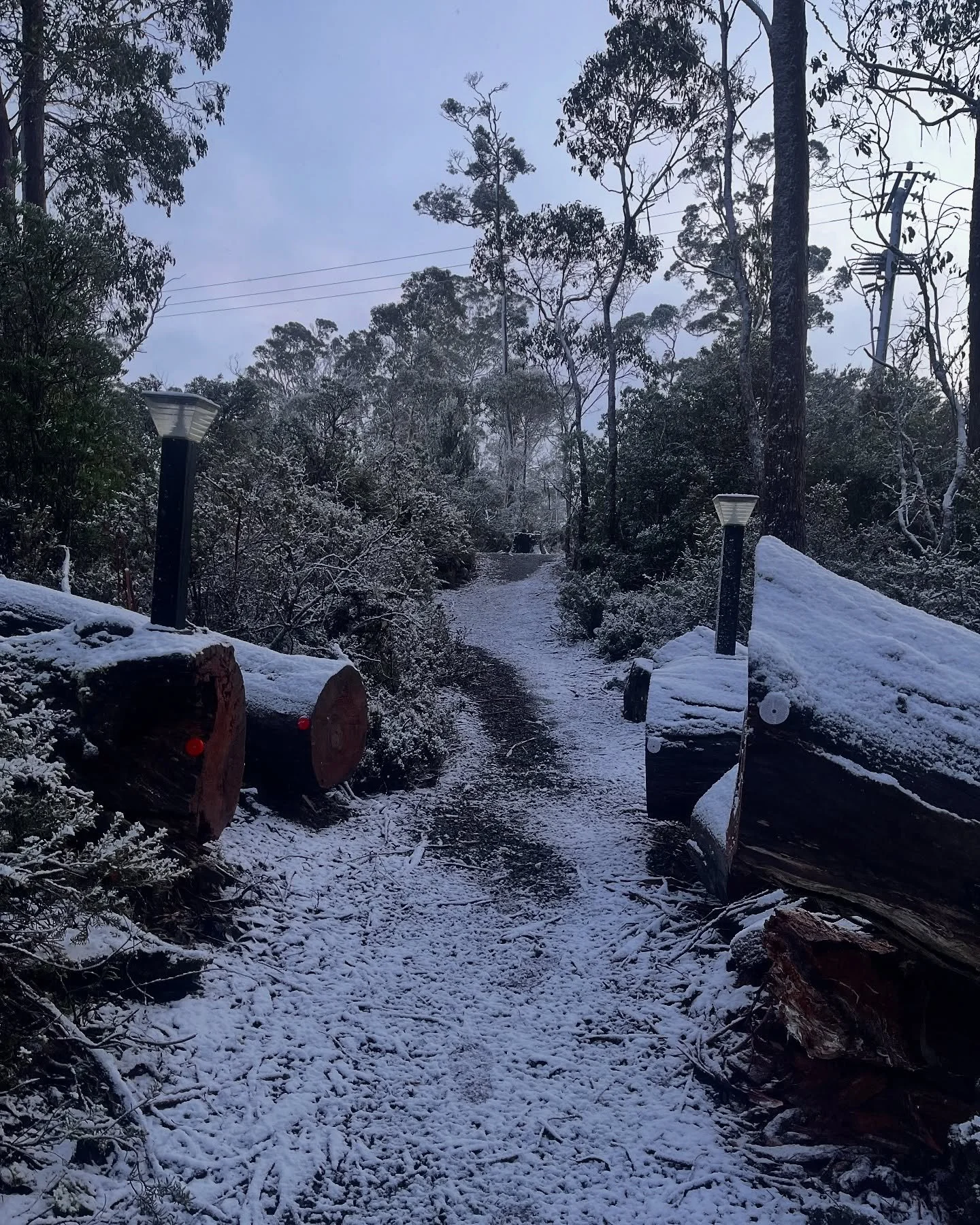 First session this morning and lucky enough to sauna in the snow. βοΈπ₯
Cradle Mountain turned it on for us - ice underfoot, steam rising, and a brave cold shower finish. π§π²
Shoutout to legend Luke Miles for stepping up and embracing the freeze. ?