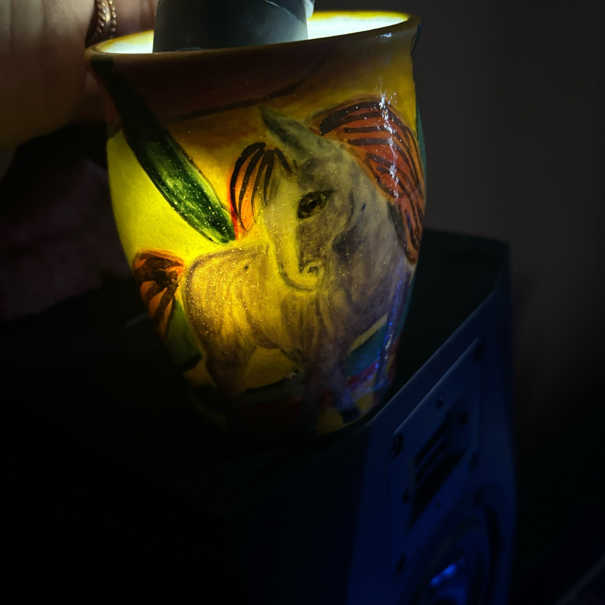 C14FF615-F7B8-47BB-8978-074CA2C7949C.jpeg