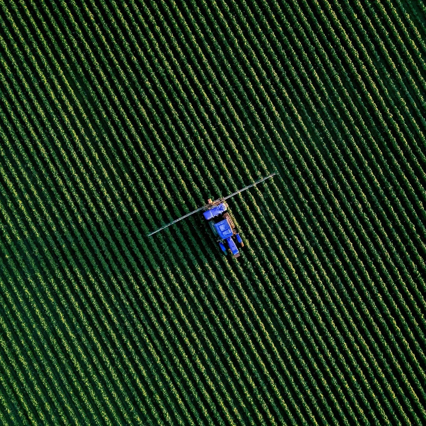 Farm Financing Advisory & Agricultural Debt Planning