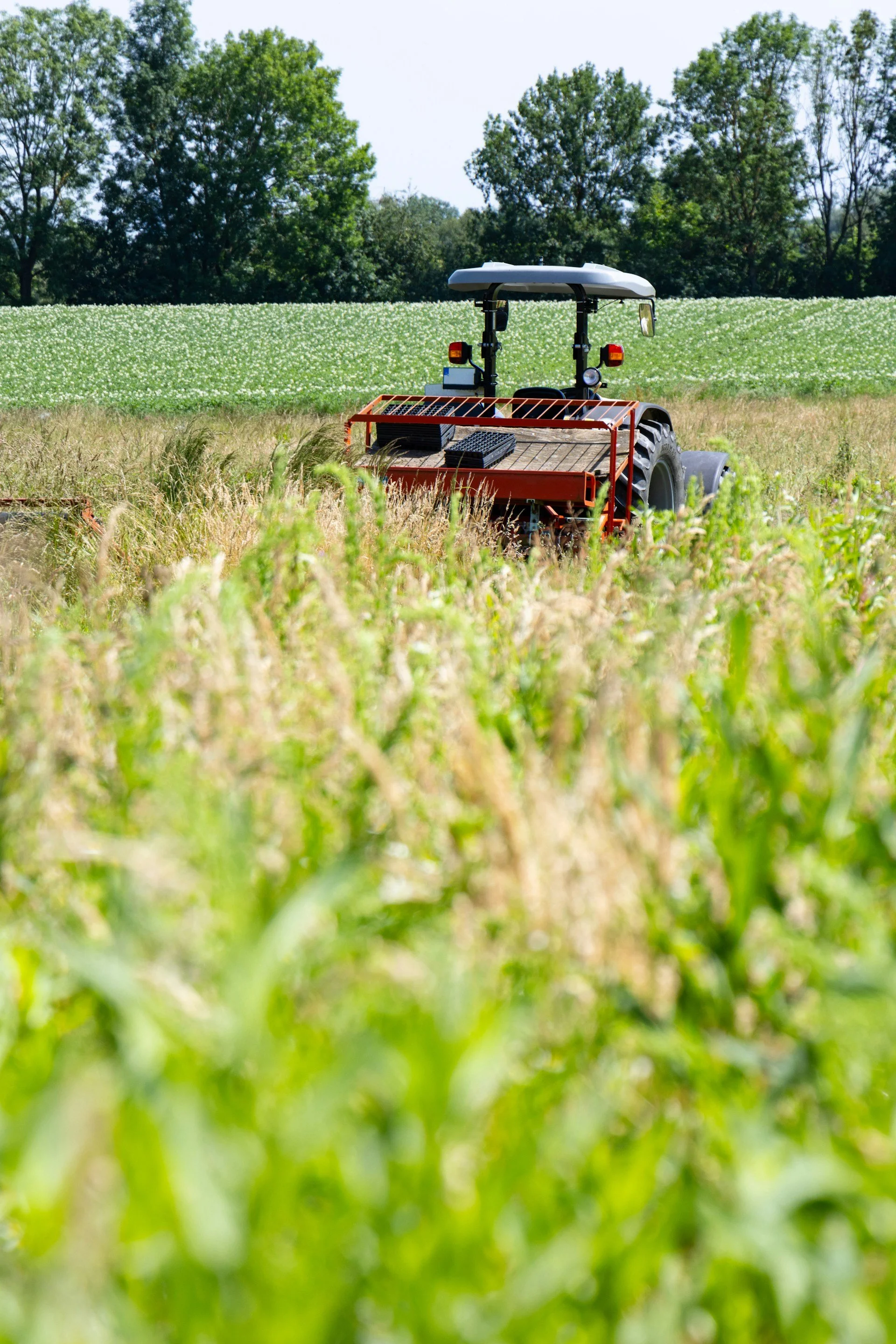 Business Consulting for Farms & Agribusinesses