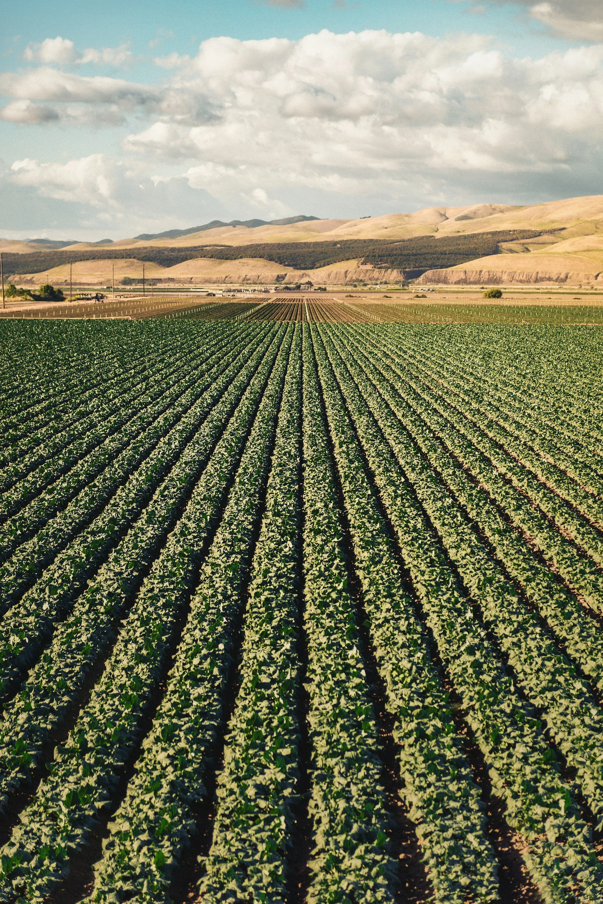 Agricultural businesses often accumulate technology gradually