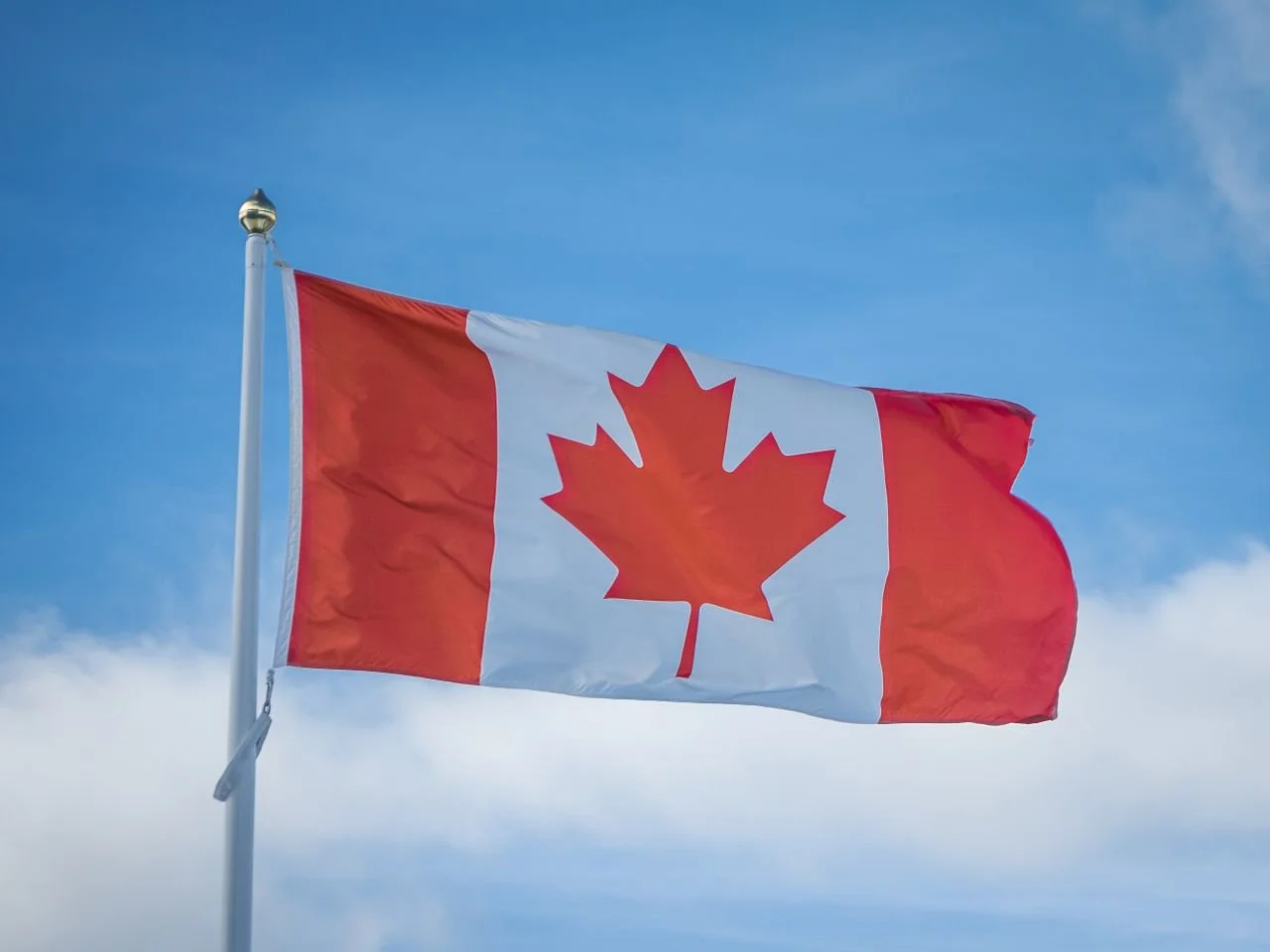 Business Consulting in Canada