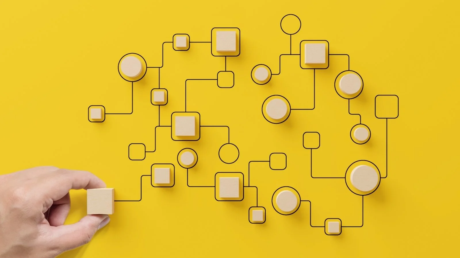 Workflow Design & SOP Development