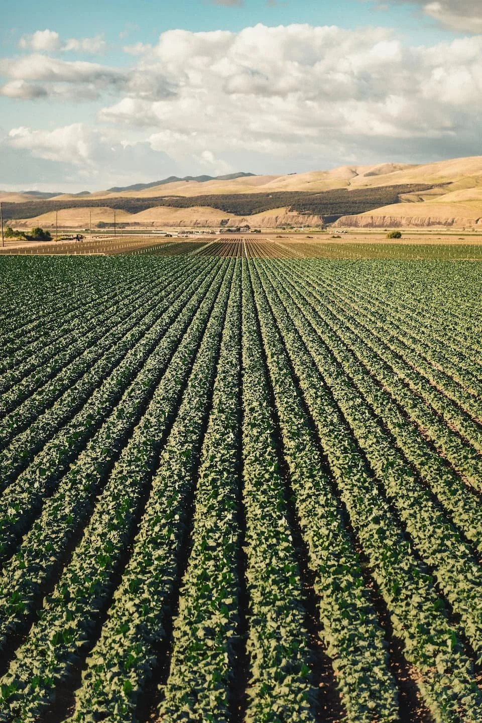 Agricultural businesses often accumulate technology gradually