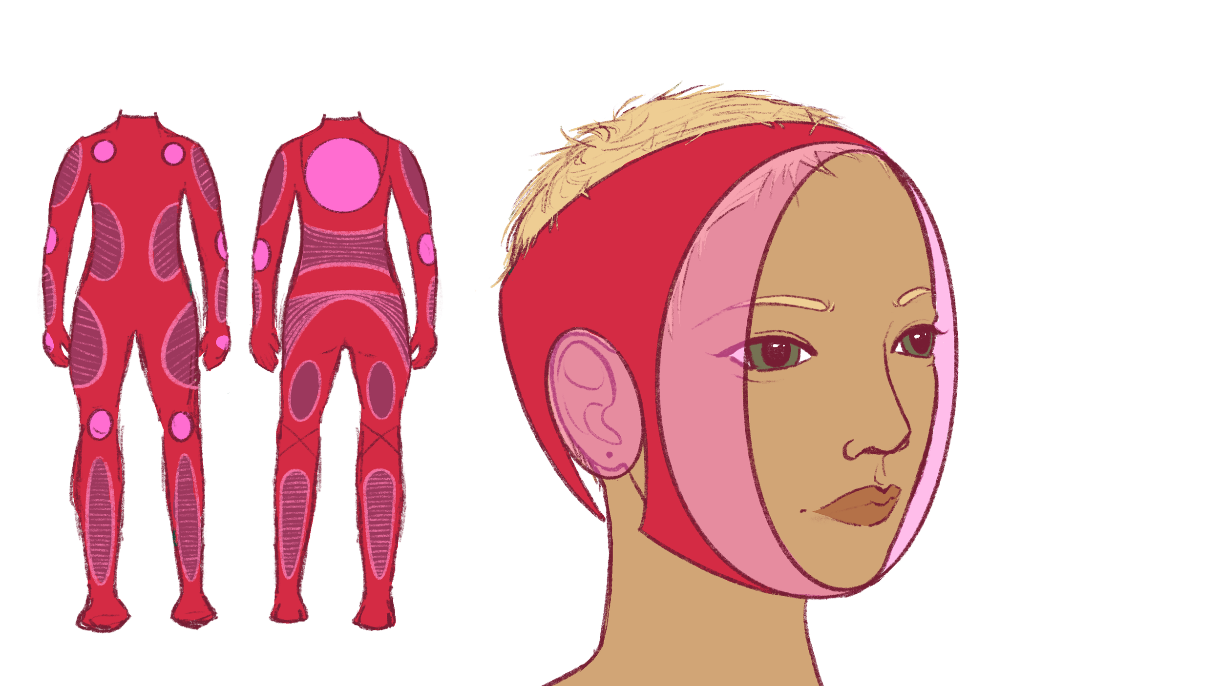 Diagram of human muscular system with a focus on head muscles, showing front and back views of the muscular anatomy on the left, and a detailed illustration of a woman's head with muscles and facial features on the right.