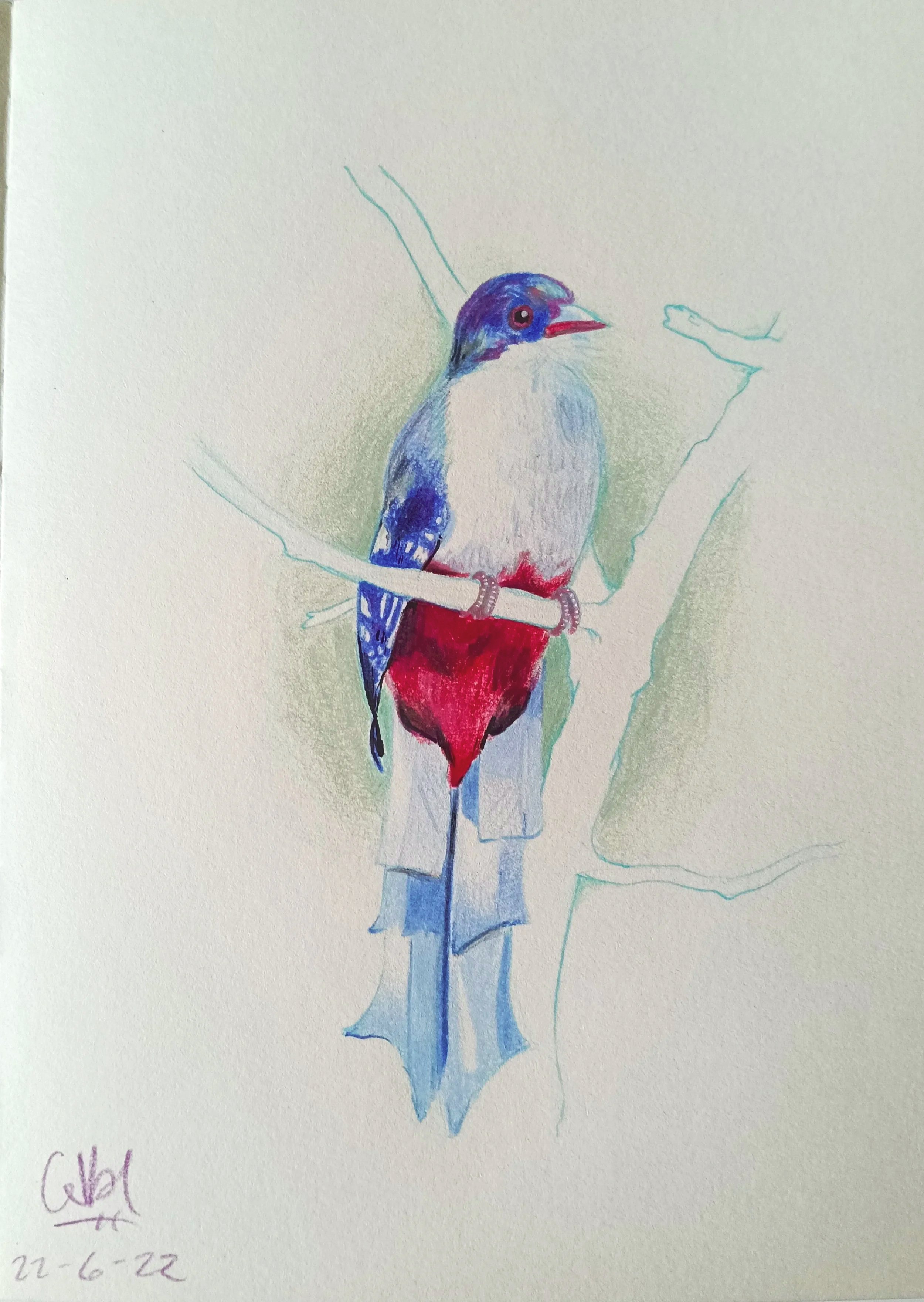 A colorful drawing of a bird with a purple head, red beak, white and blue body, perched on a branch with faint blue and green lines, on white paper.