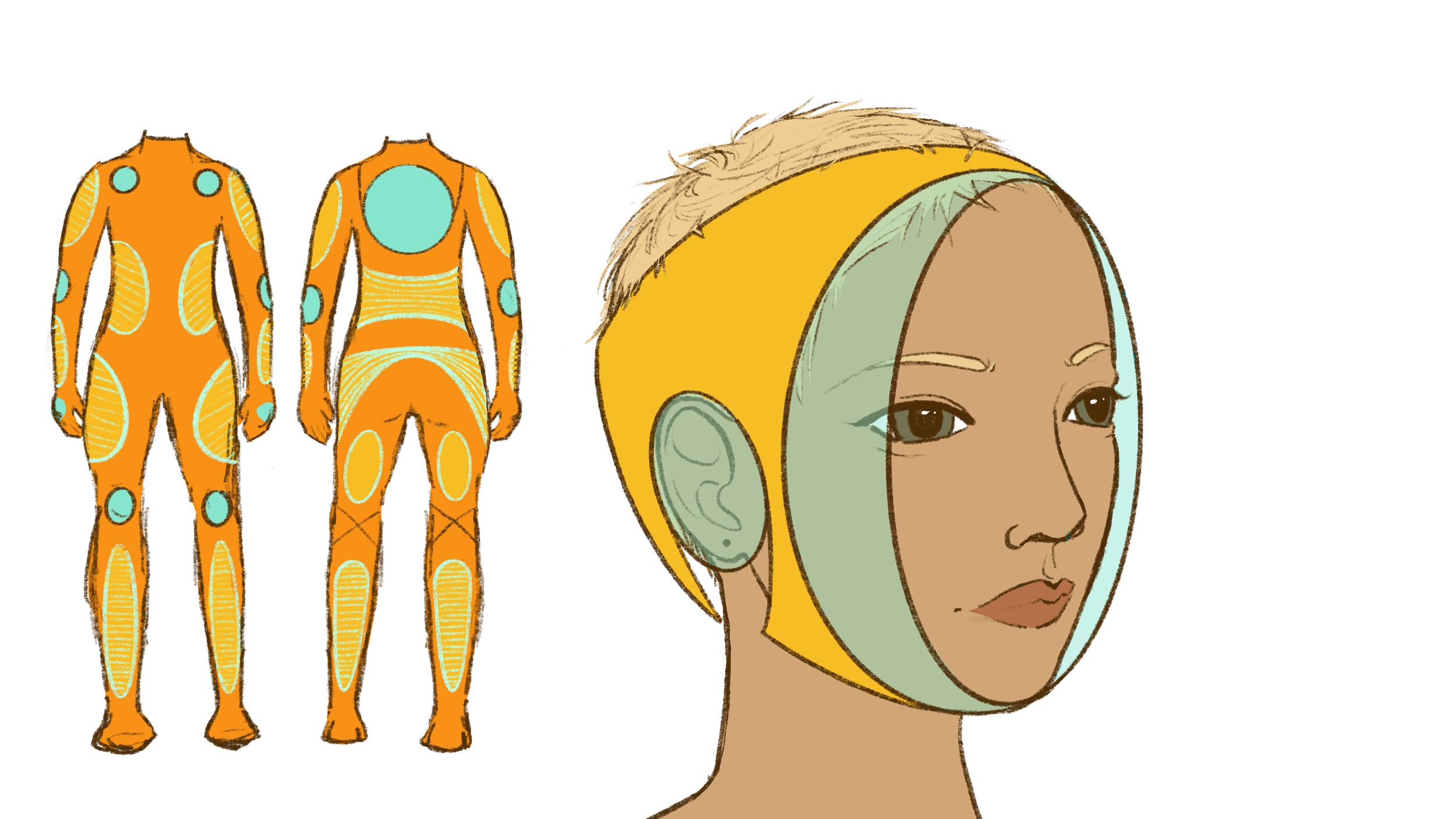 Diagram showing the human body with focus on the head and face, and a depiction of the body's muscular system from the back.