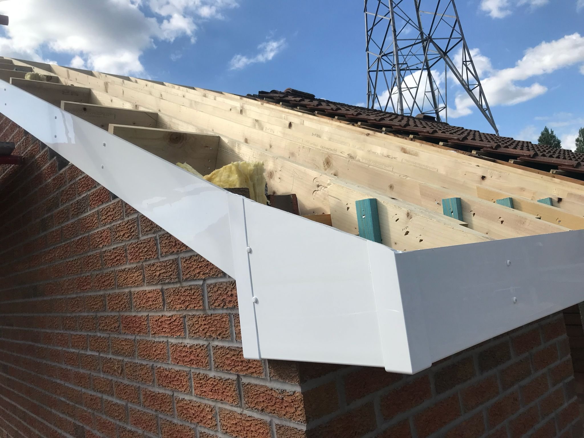 WhatsApp Image 2025-07-08 at 15.22.57_a3d1be8d.jpg