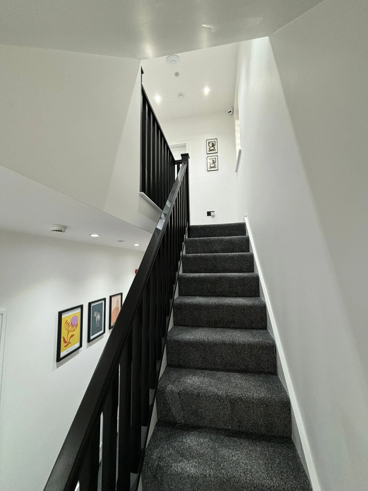 WhatsApp Image 2025-07-08 at 15.29.30_56b770b7.jpg