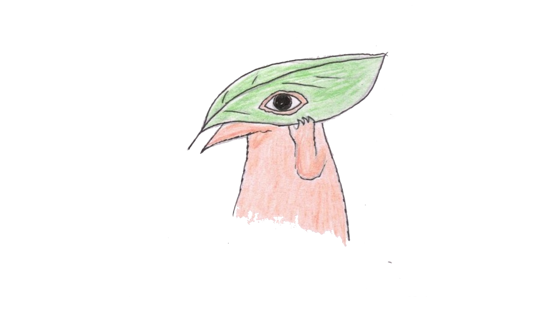 82DD323D-F387-4191-9423-684BFC91A946.png