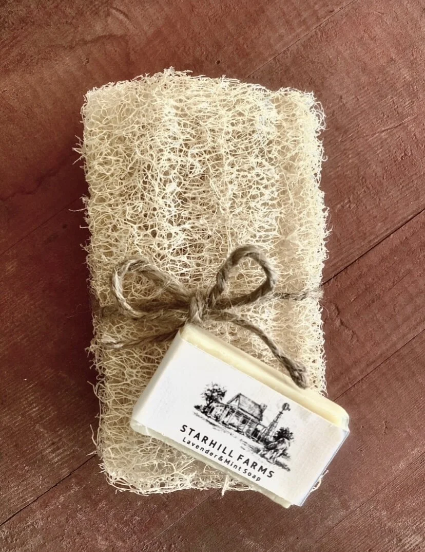 StarHill Loofah.jpeg