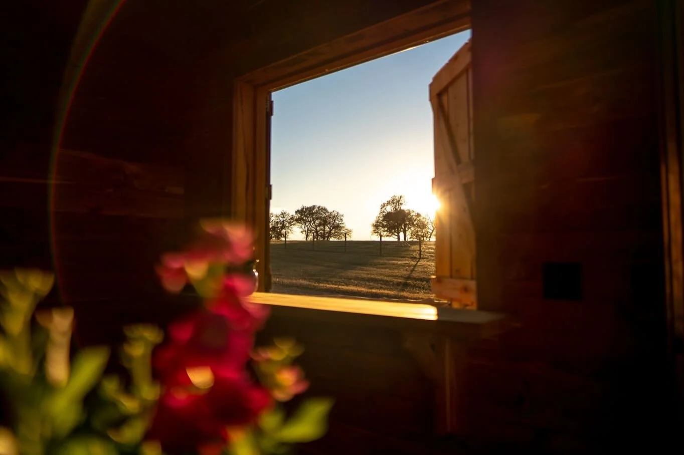 Wide open spaces, quiet mornings, and a grateful heart 🤍☀️

📸 @garyblakephoto 

#countryside #refresh #rechargeyoursoul
