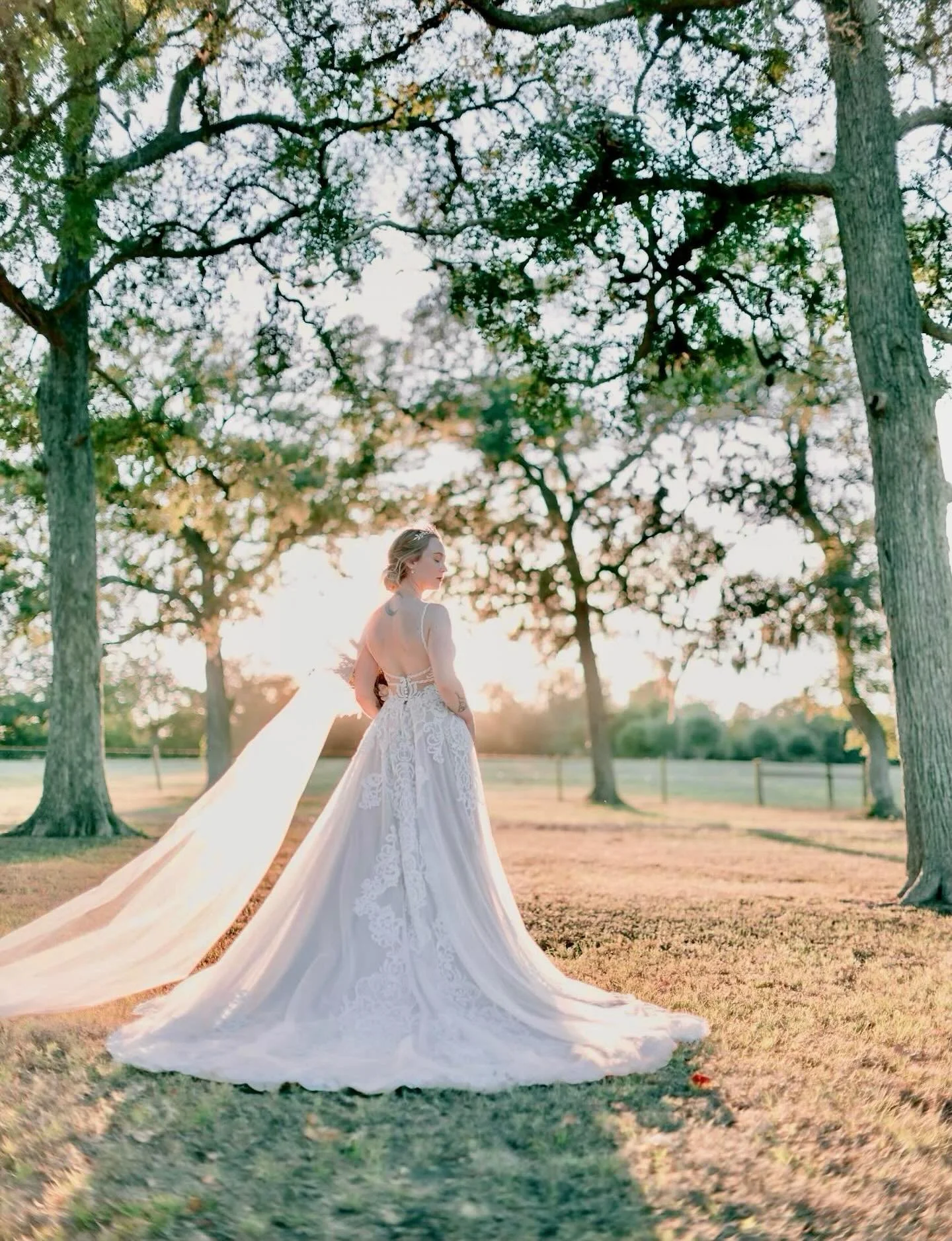 Be Radiant 💛✨💐

At the farm, every day is a chance to make memories, whether you&rsquo;re getting married or just getting away. #starhillfarms #starhill #starhillfarmswedding #friday #shine #love #getaway #newulm