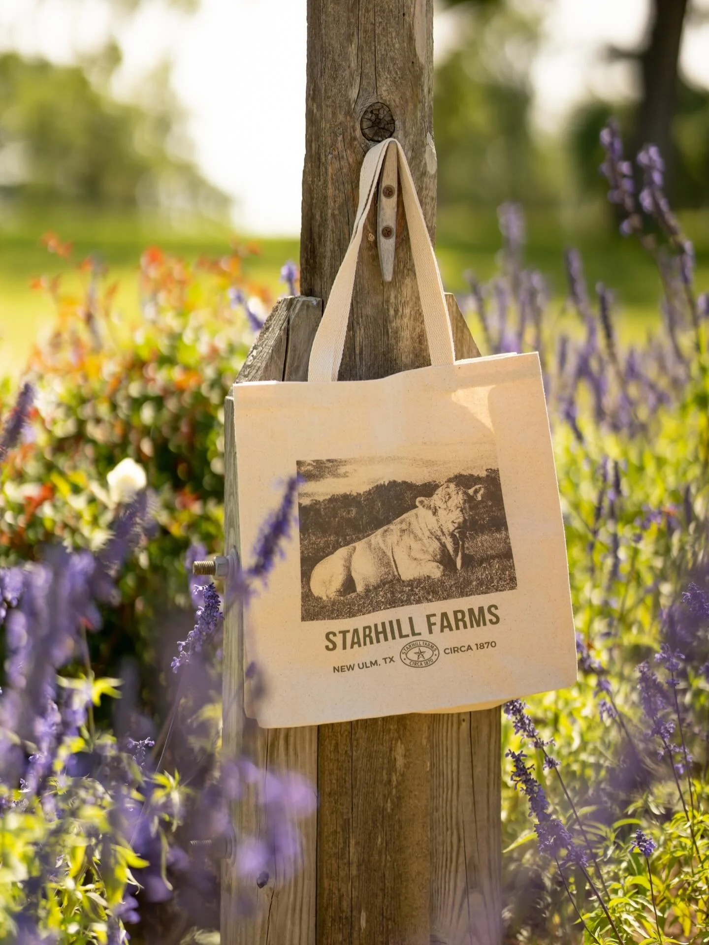 Be renewed 🌱🤍

One of the most perfect ways to feel renewed this new year is start with some new merch which you can find in our shop! You can find this bag and MANY more items!! #starhill #farms #newulm #newyear