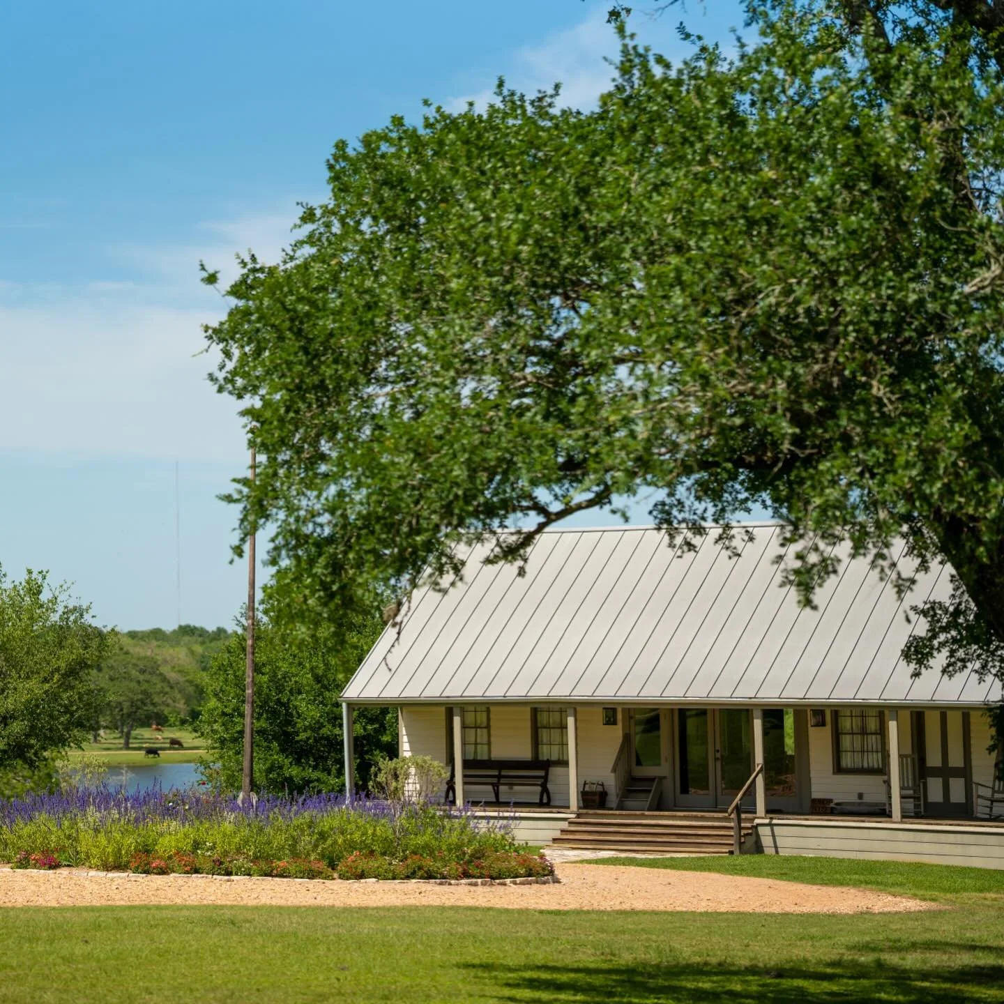 Spring has arrived in the Texas countryside 🌸 Come enjoy the fresh air and wide-open spaces at StarHill Farms ☀️🌿

📸 @garyblakephoto 

#outdoors #nature #vacation #travel