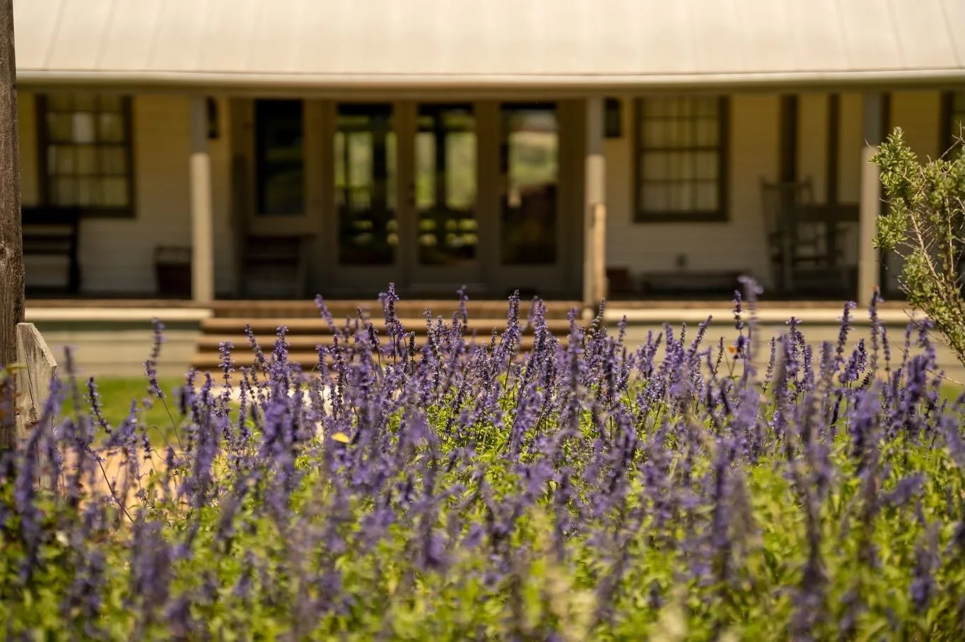 Sundays are for slowing down in the countryside 🪻☀️

#texashillcountry #texastravel #texasliving #texaslife