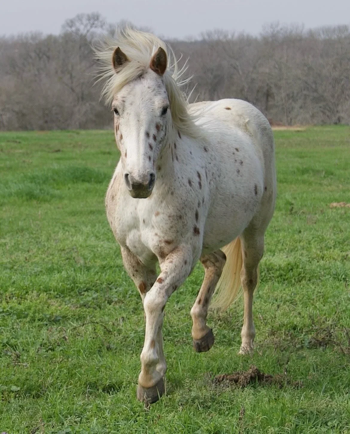 Thank you @michelle_caluneo for staying with us and for capturing these moments on the farm! We look forward to hosting you again soon! 📸🤎🐴

#farmlife #ranchlife #horsephotography #horseoftheday #horselovers