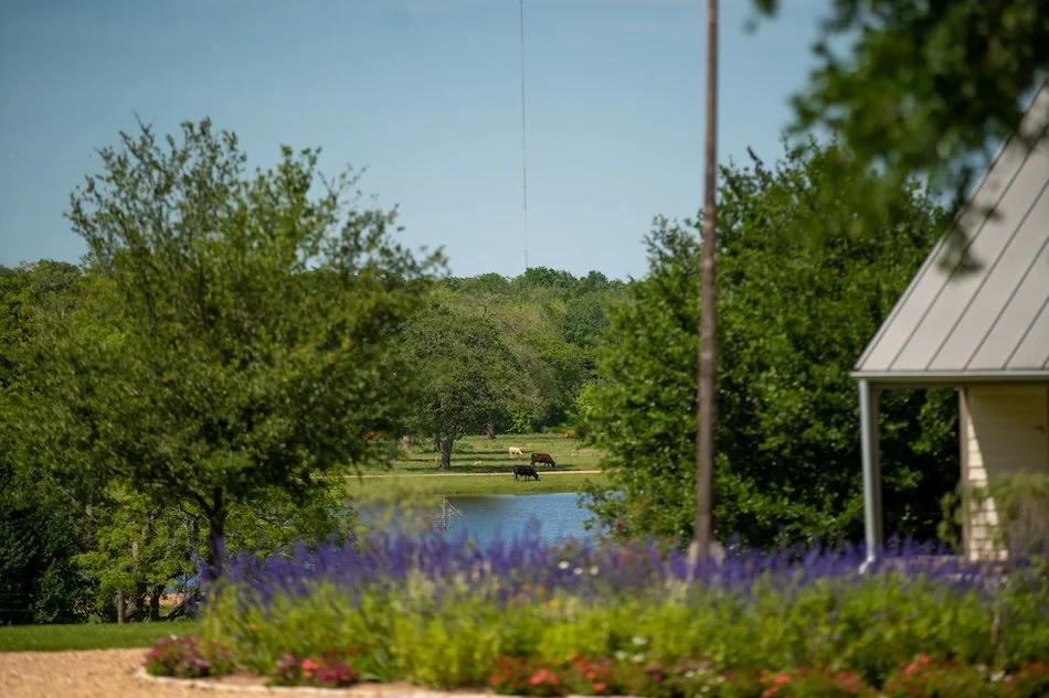 Best Vacation Rental Near Houston for a Weekend Recharge