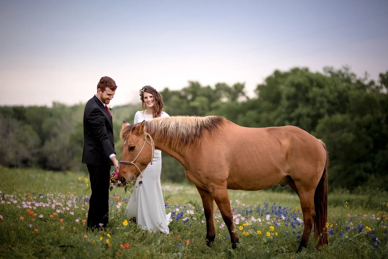 Elopement Venues in Texas: Why StarHill Farms Is Perfect for a Countryside Elopement