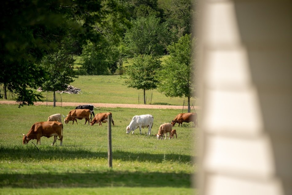 cabin-rentals-near-austin-tx-starhill-farms