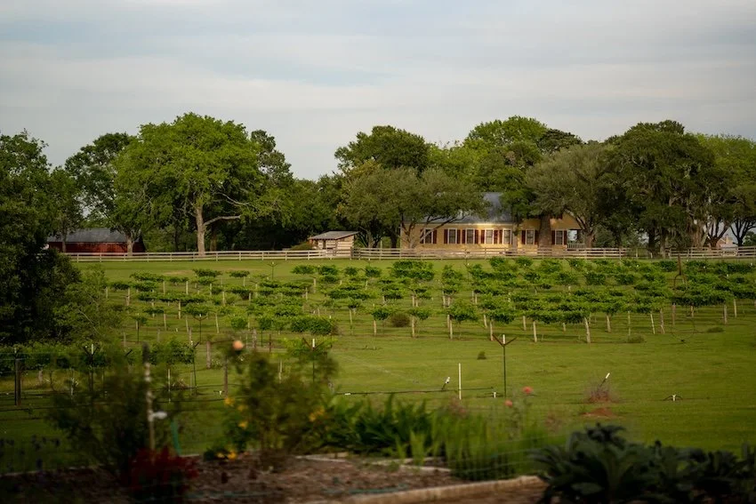 romantic-cabin-vacation-rentals-starhill-farms-austin-tx