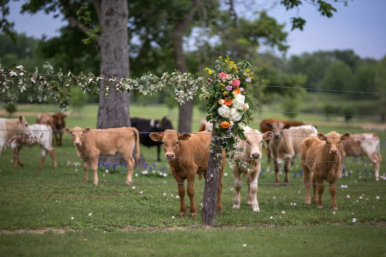 elopement-venues-starhill-farms-texas
