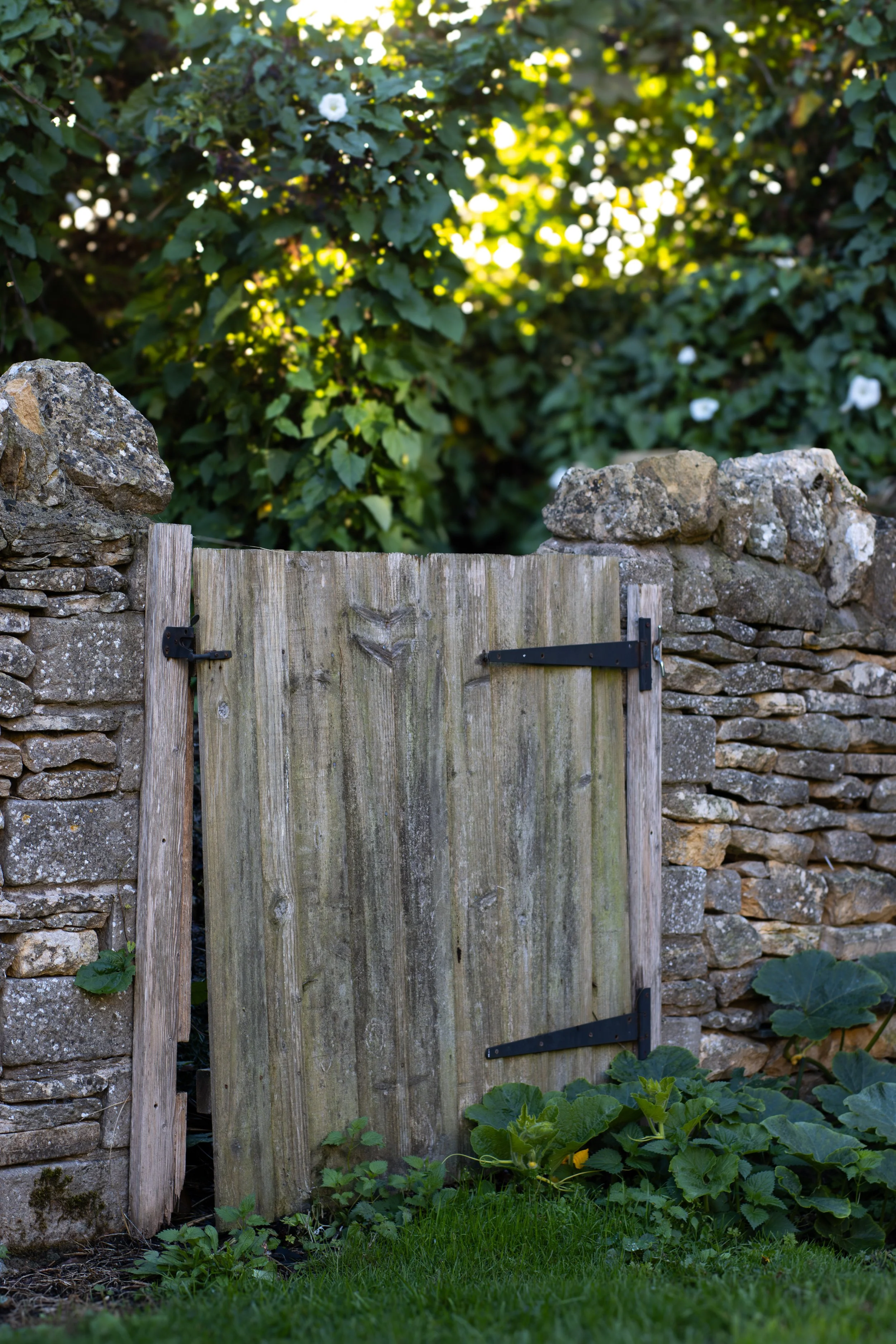 A rustic wooden gate with black metal hinges, set within a stone wall, surrounded by greenery and plants, with sunlight filtering through dense trees in the background. The Lamb Inn. 