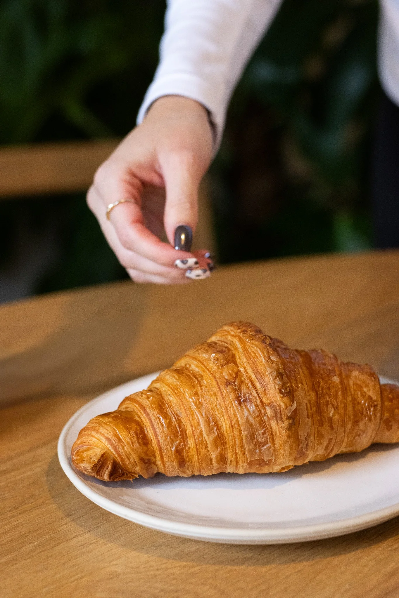 Close-up of a golden croissant on a white plate, with a person's hand reaching for it, visible with dark nail polish and a gold ring, on a wooden table. The New England Coffee House.