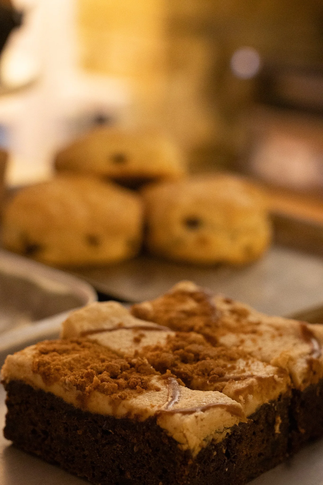 Close-up of assorted cookies on a plate, including chocolate chip and oatmeal cookies. The New England Coffee House.