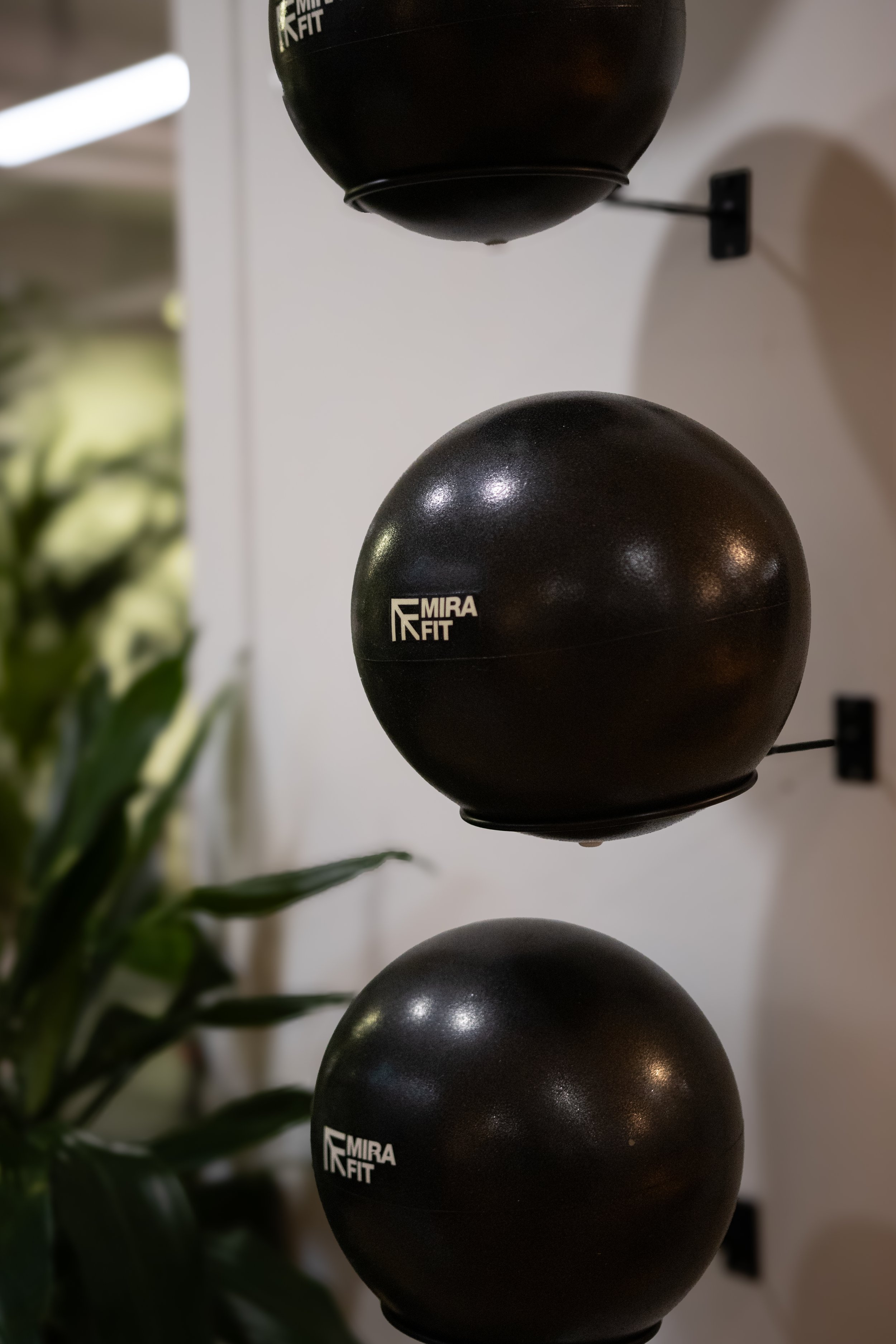 Three black medicine balls with the brand name 'MIRA FIT' stacked vertically on a wall-mounted rack, next to green leafy plants in the background. The Studio Cheltenham, Reformer Pilates. 