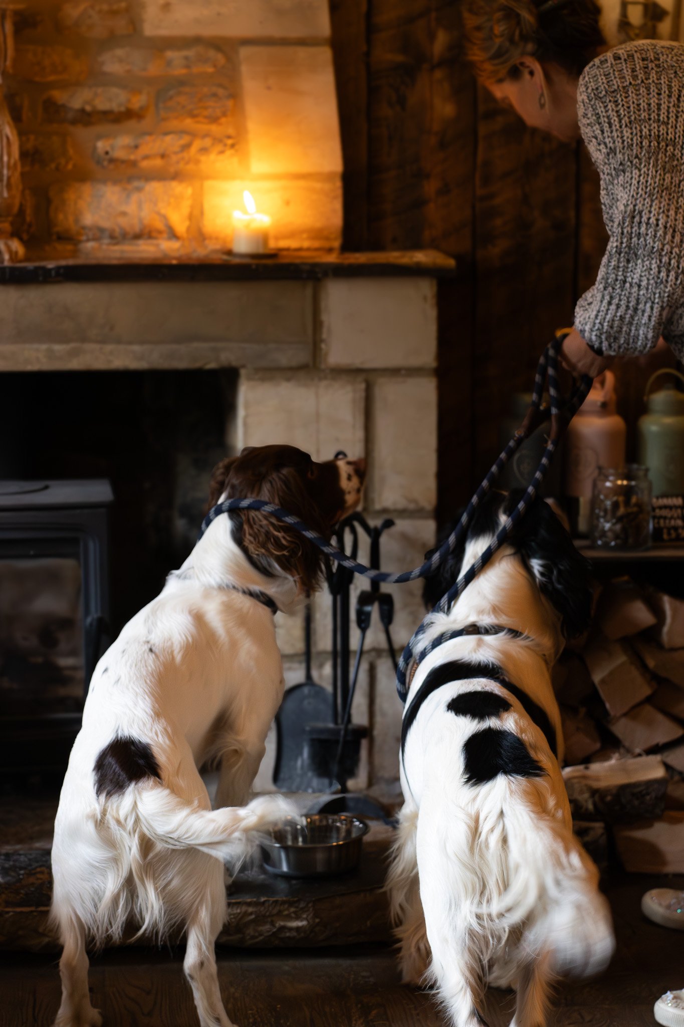 Two English Springer Spaniels with blue plaid collars sitting in front of a fireplace with a woman in a knitted sweater standing nearby. The scene is lit by a candle on the mantle and has a cozy, rustic ambiance. The Lamb Inn. 