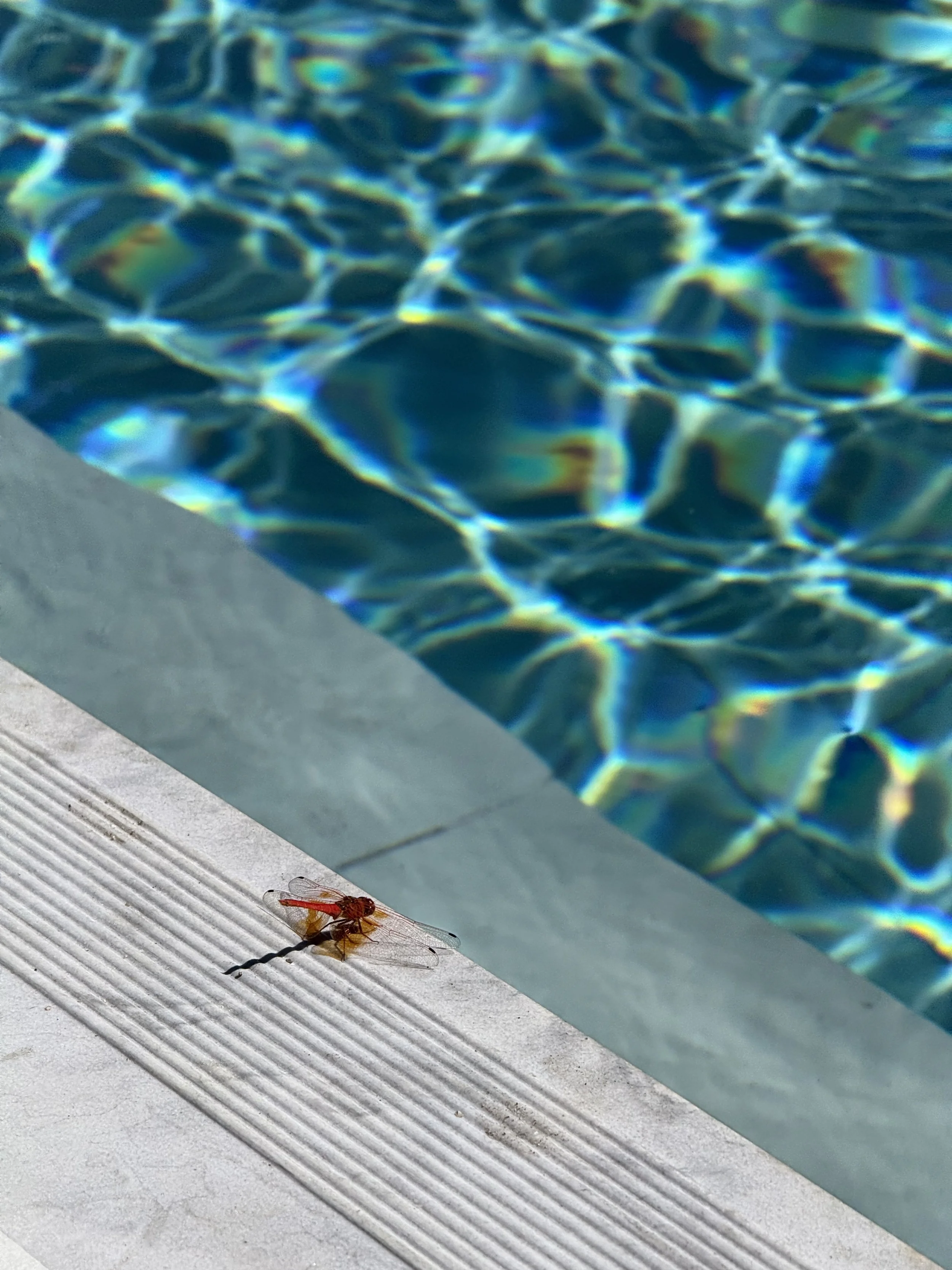 2512_Oasis Restaurant_4.jpeg