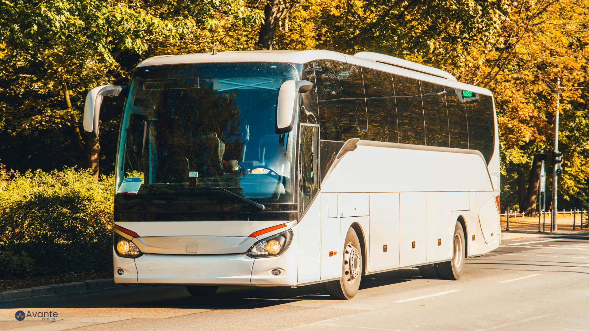 A white tour bus parked on a street with trees in the background.