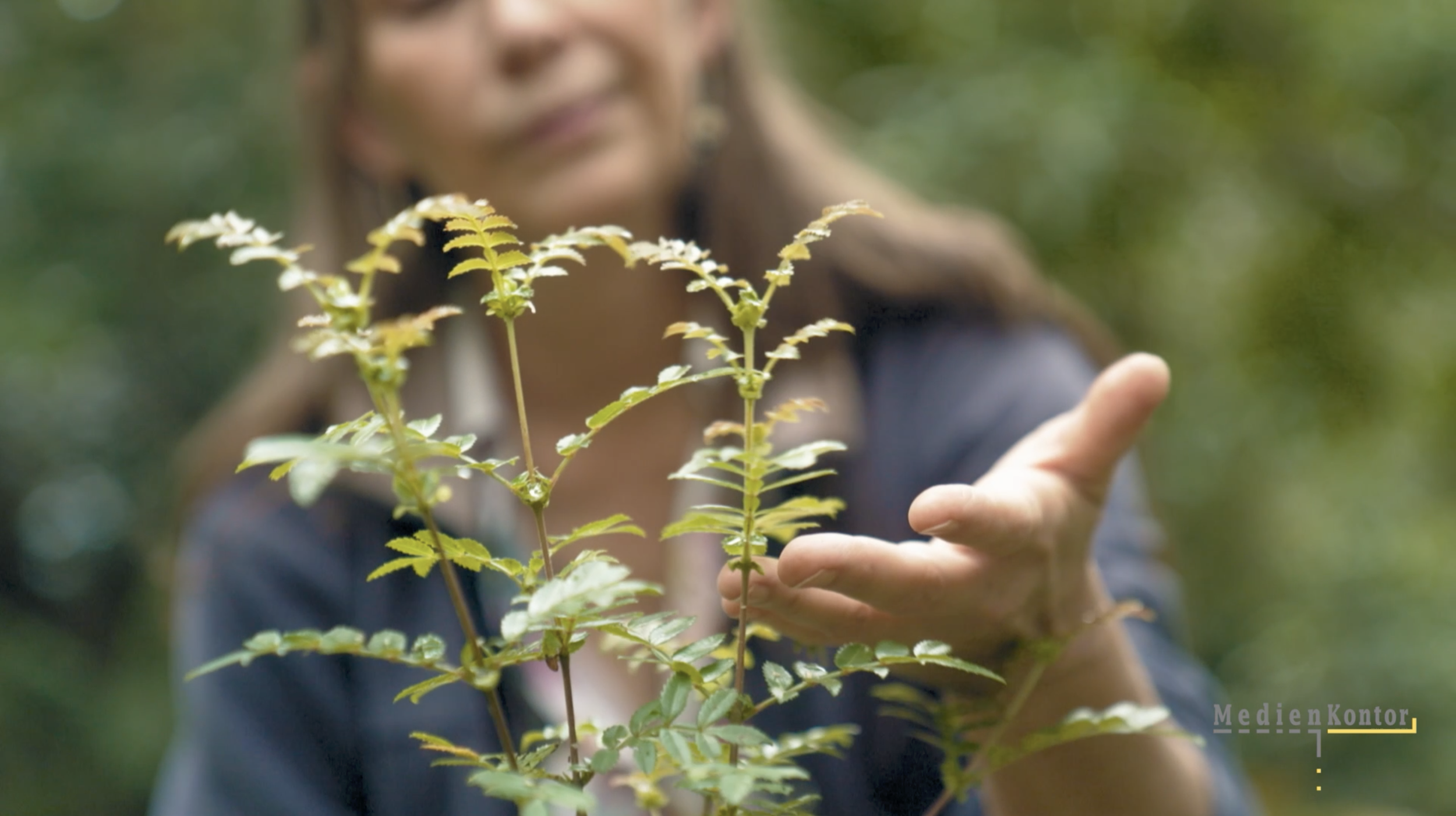 La Réunion, le renouveau des jardins créoles