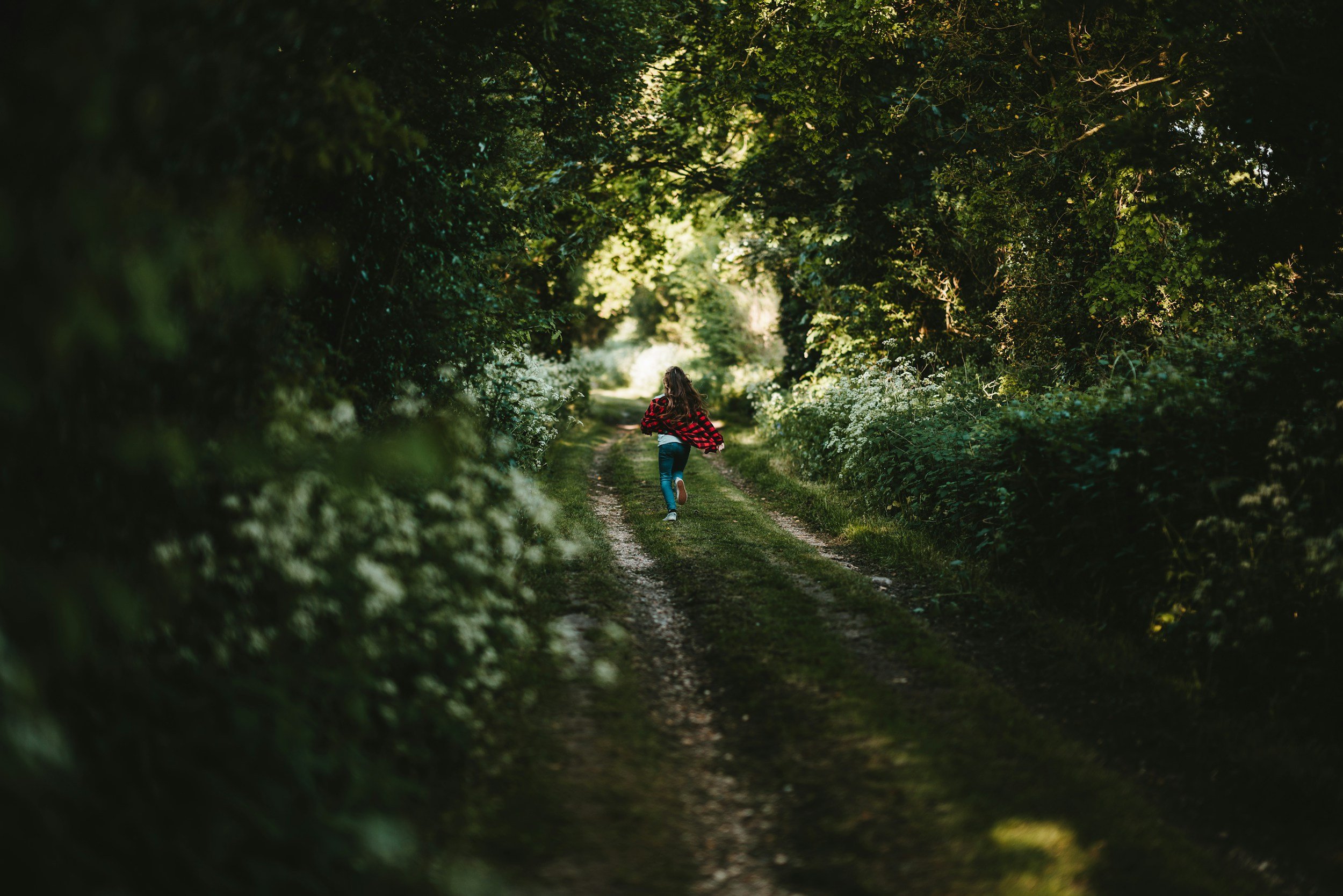 unsplash-image-LlZ3I2srWNE.jpg